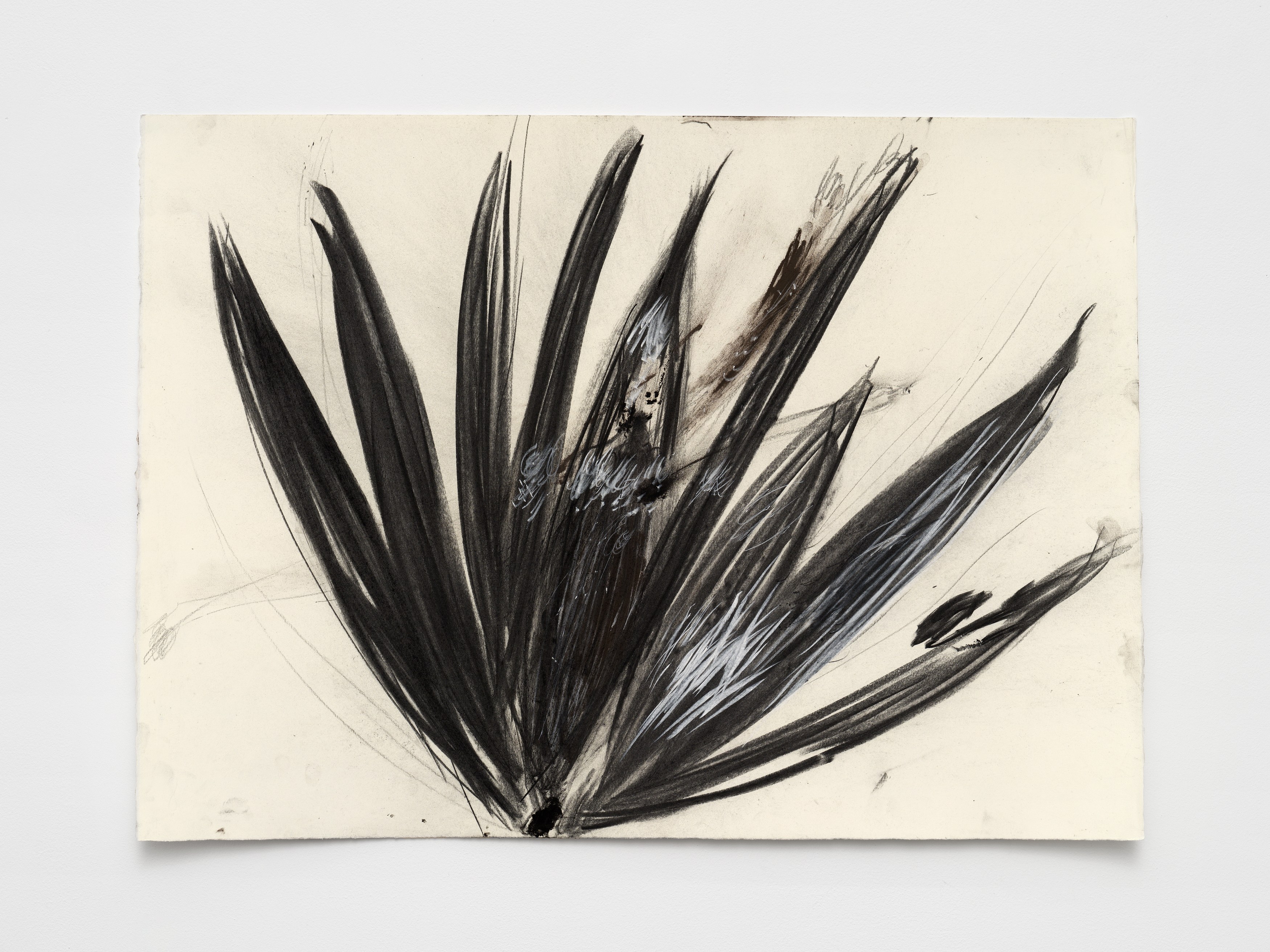 Aurélien Froment, Armineh Negahdari, Un oiseau passe. Je le suis at Marcelle Alix, photo 27
