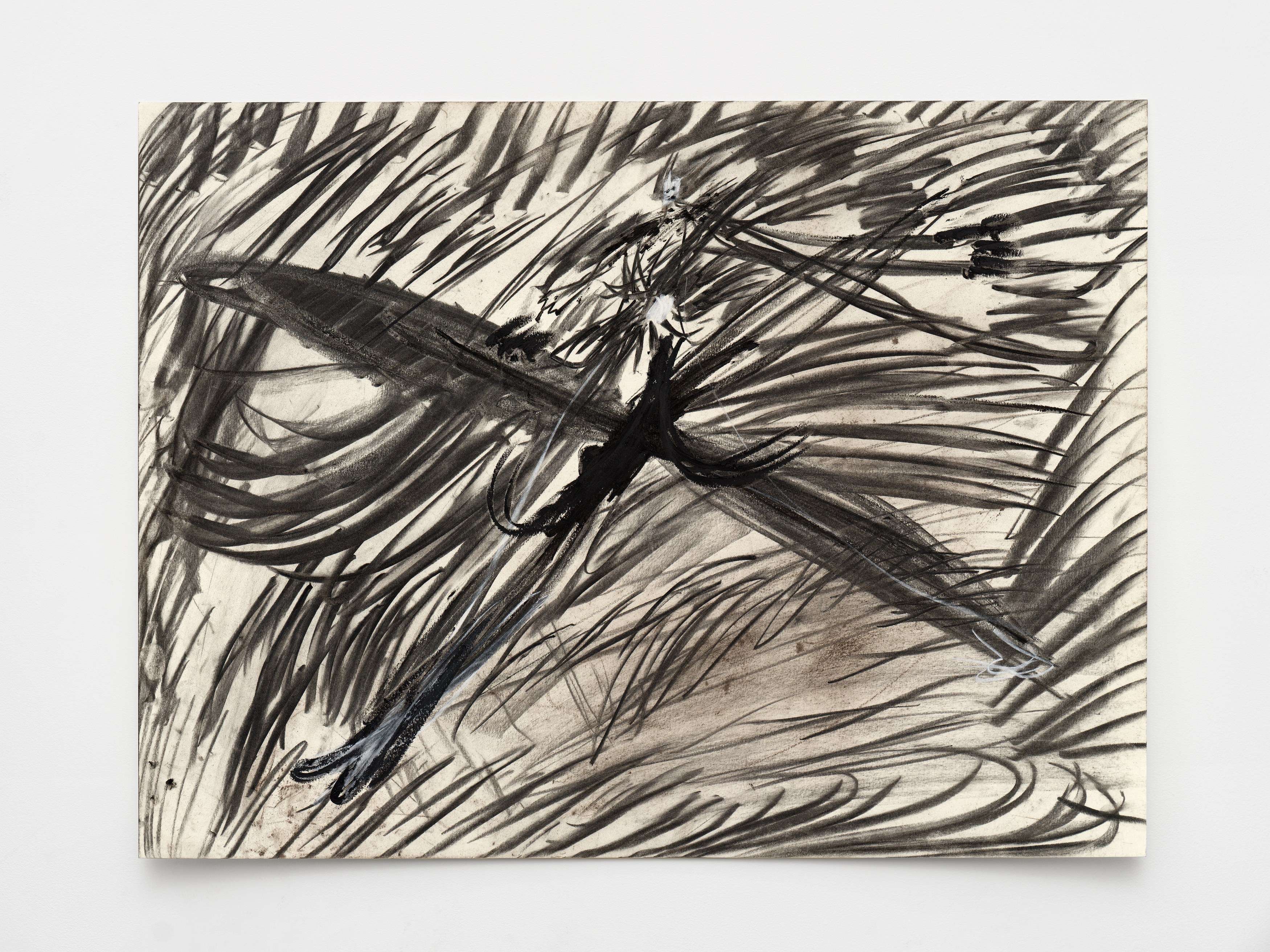 Aurélien Froment, Armineh Negahdari, Un oiseau passe. Je le suis at Marcelle Alix, photo 26