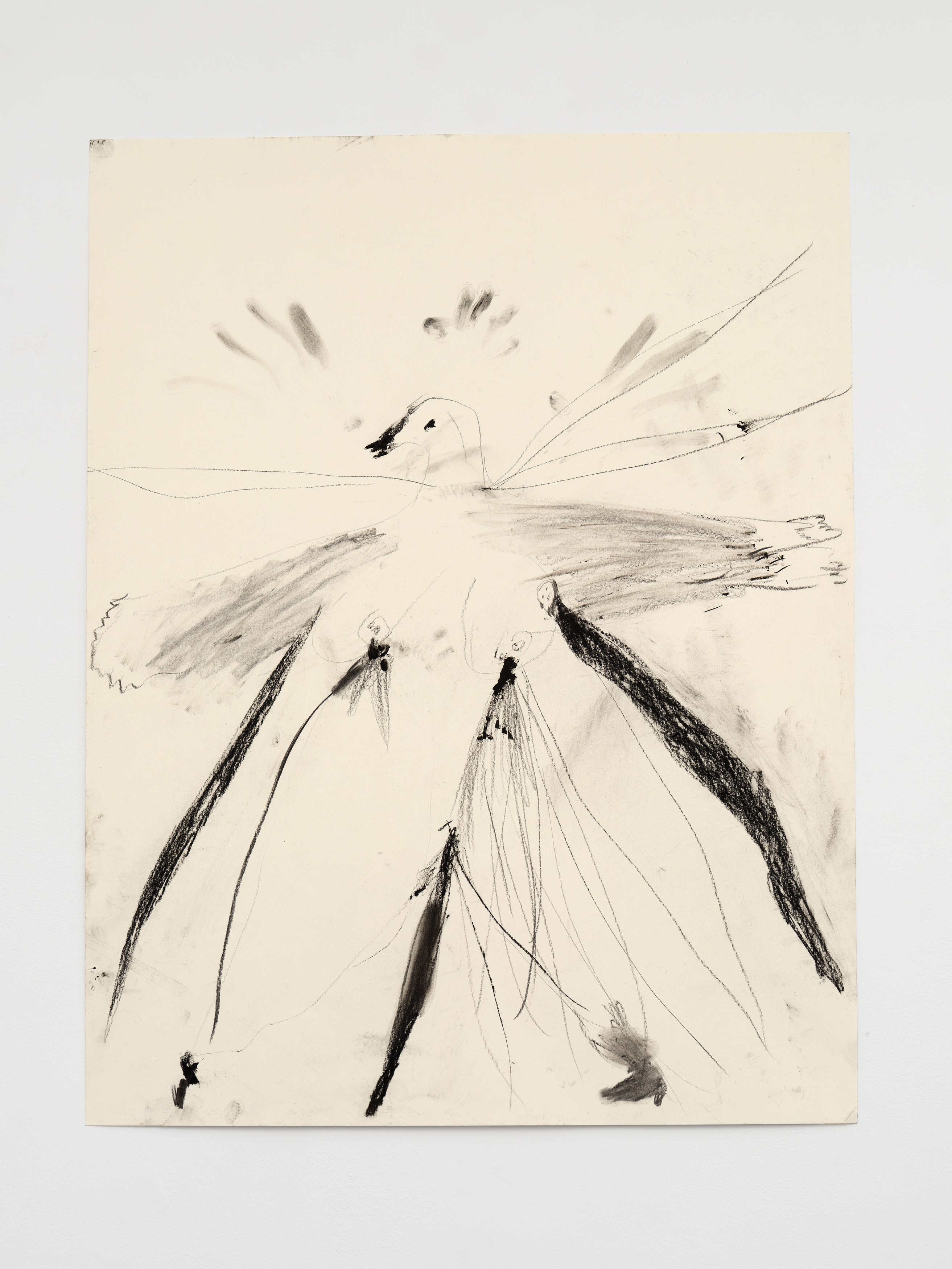 Aurélien Froment, Armineh Negahdari, Un oiseau passe. Je le suis at Marcelle Alix, photo 28
