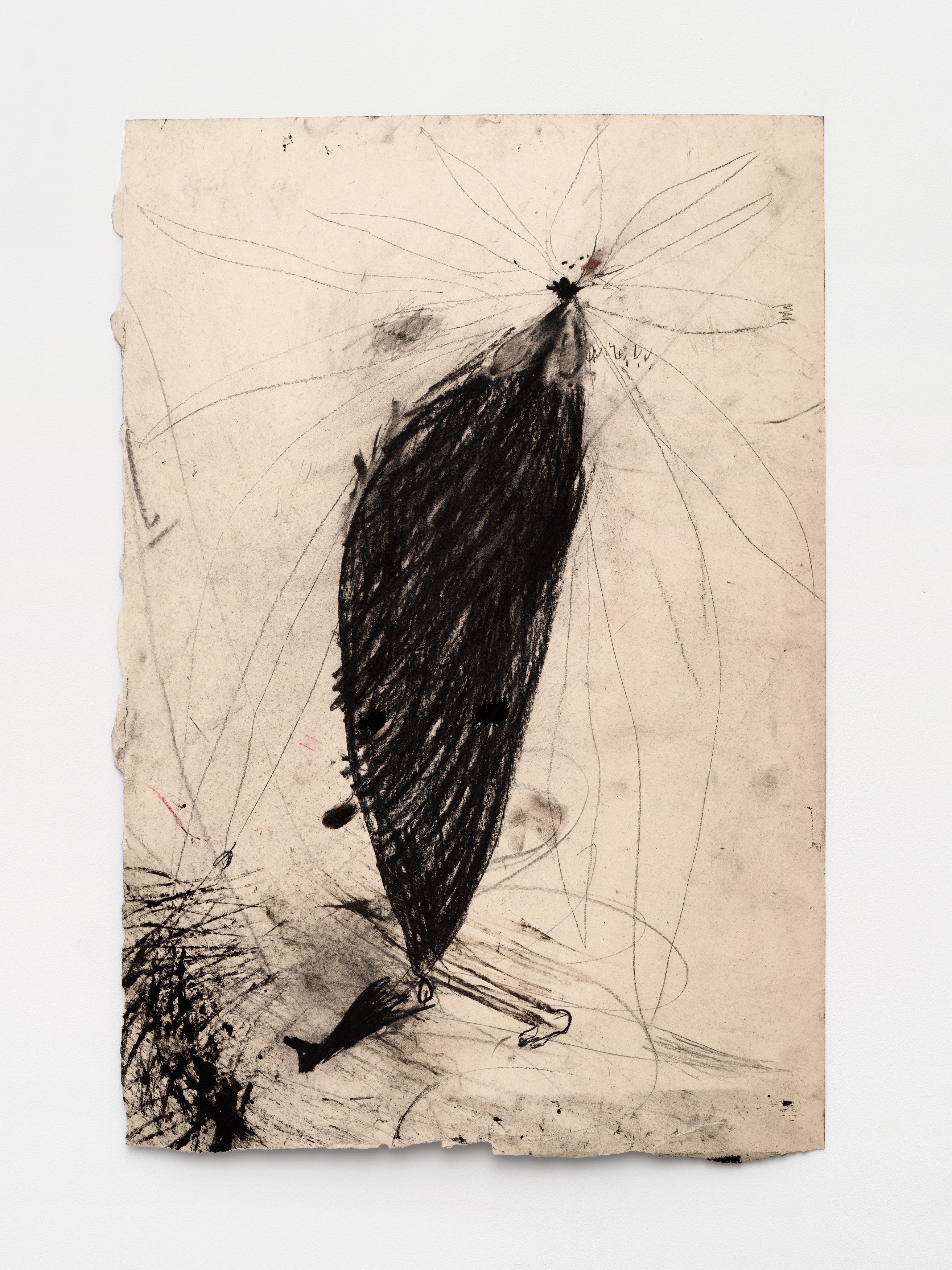 Aurélien Froment, Armineh Negahdari, Un oiseau passe. Je le suis at Marcelle Alix, photo 33