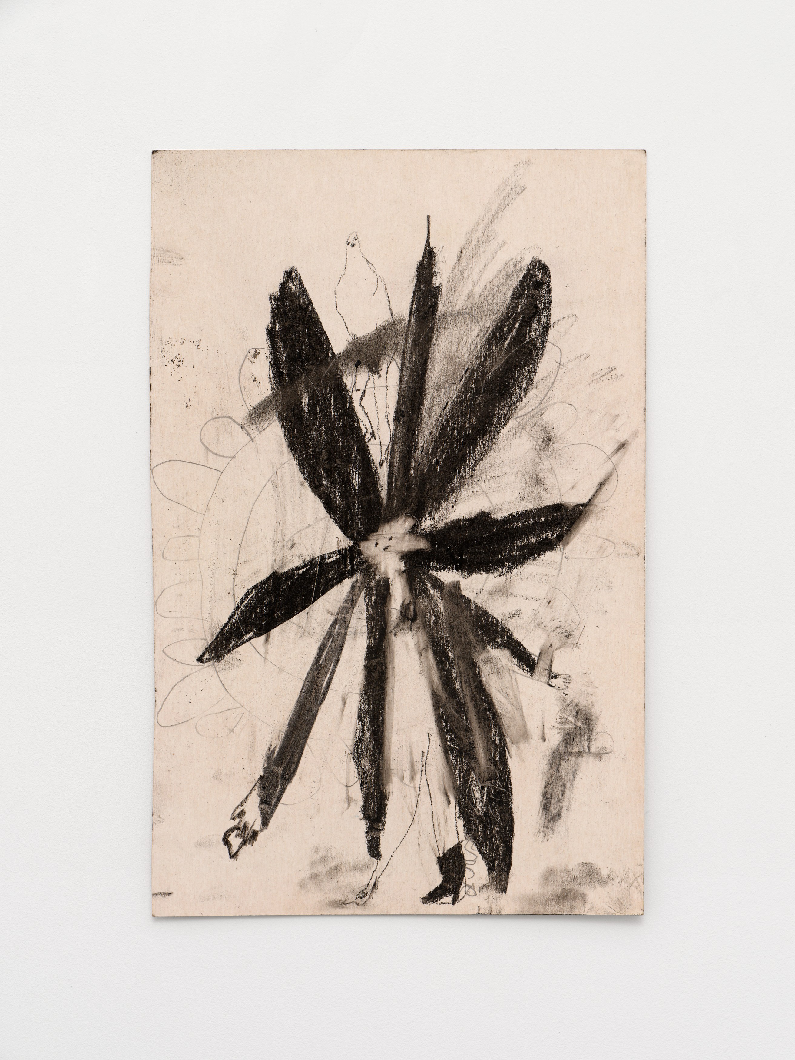 Aurélien Froment, Armineh Negahdari, Un oiseau passe. Je le suis at Marcelle Alix, photo 32