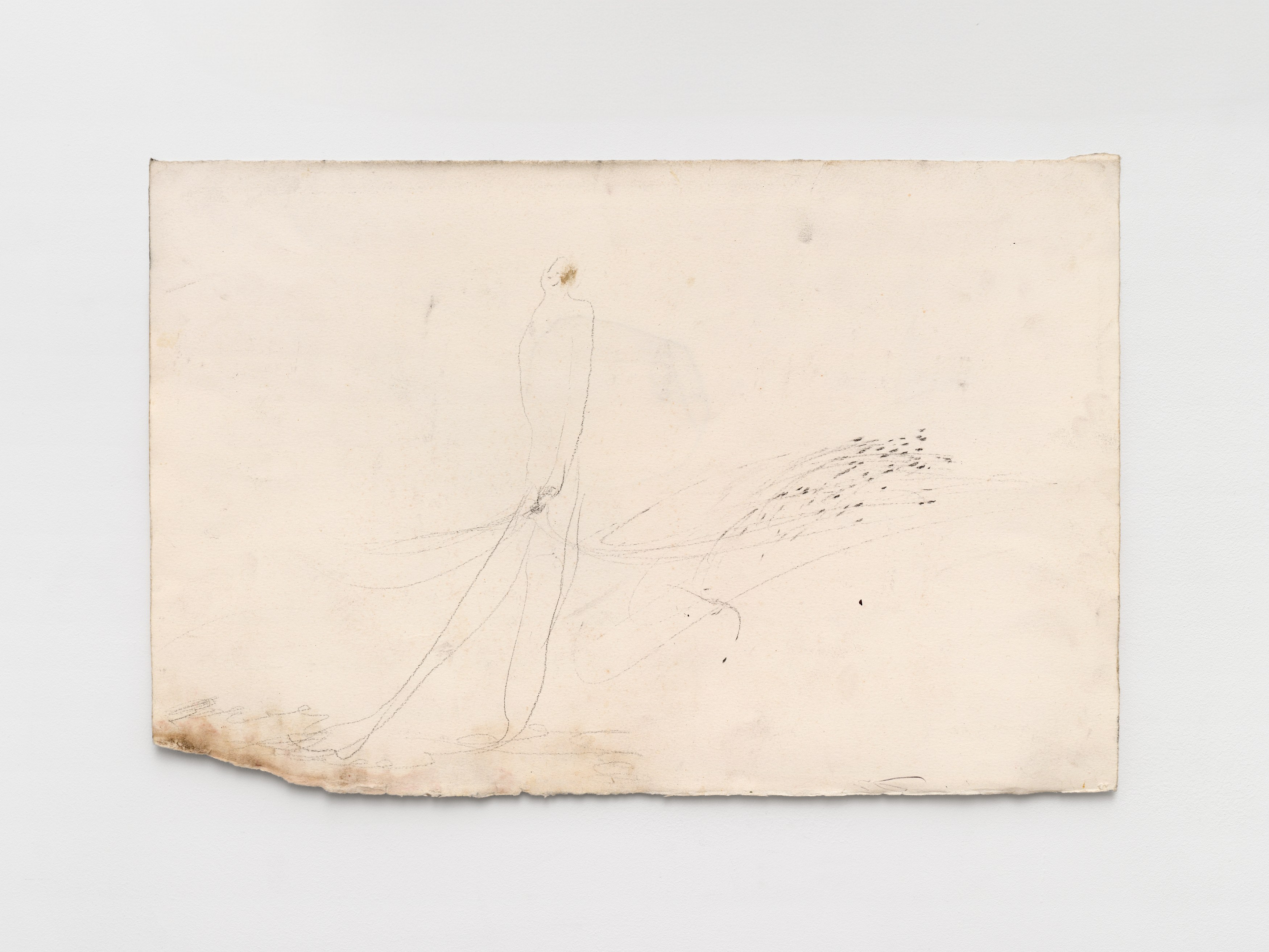 Aurélien Froment, Armineh Negahdari, Un oiseau passe. Je le suis at Marcelle Alix, photo 31