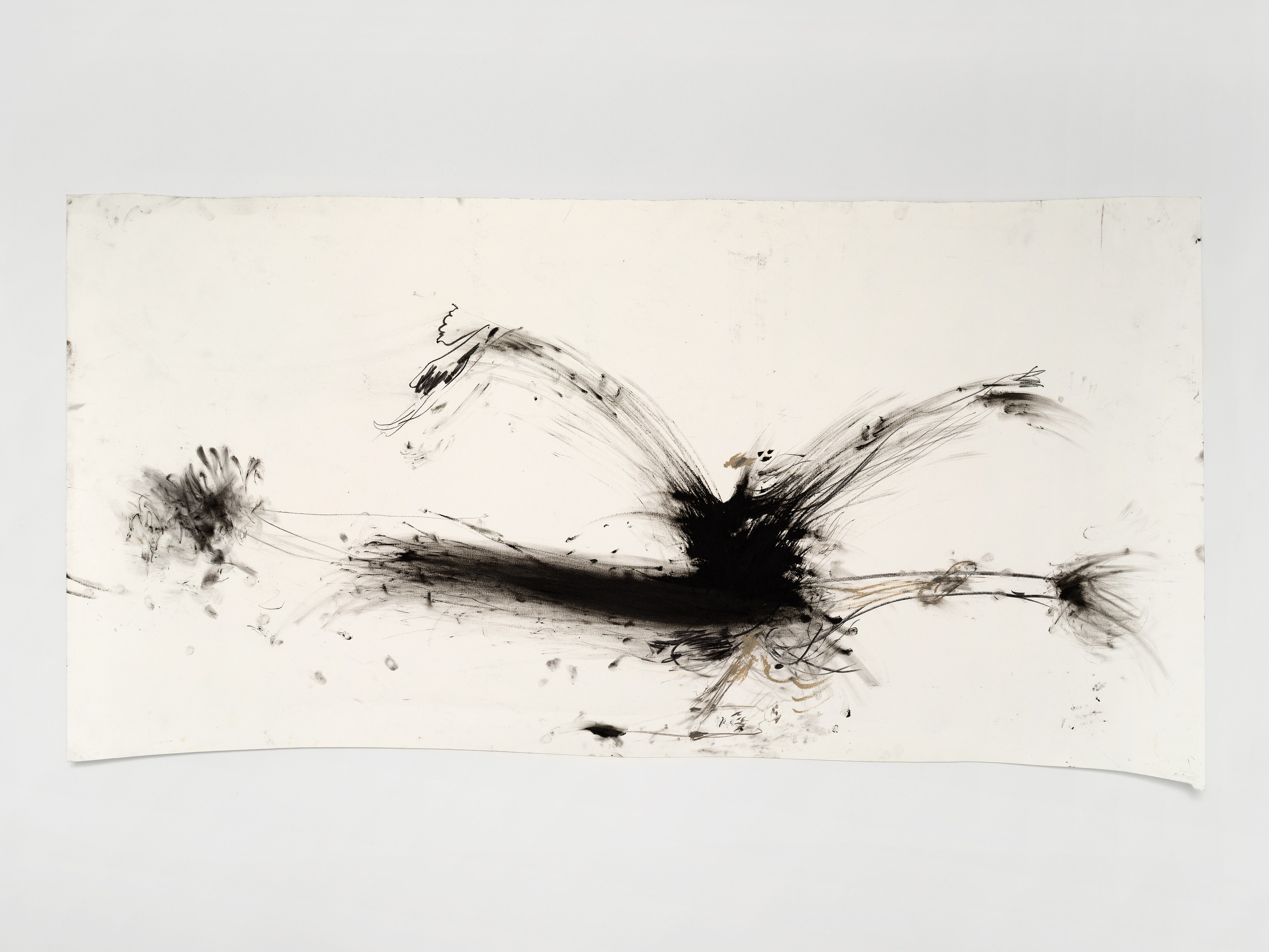 Aurélien Froment, Armineh Negahdari, Un oiseau passe. Je le suis at Marcelle Alix, photo 34