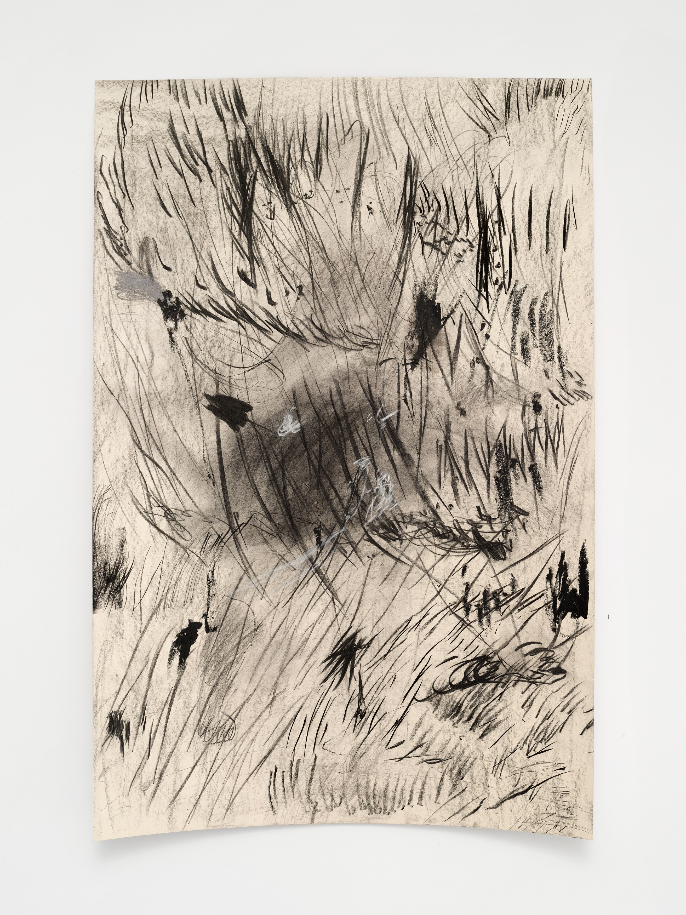 Aurélien Froment, Armineh Negahdari, Un oiseau passe. Je le suis at Marcelle Alix, photo 35