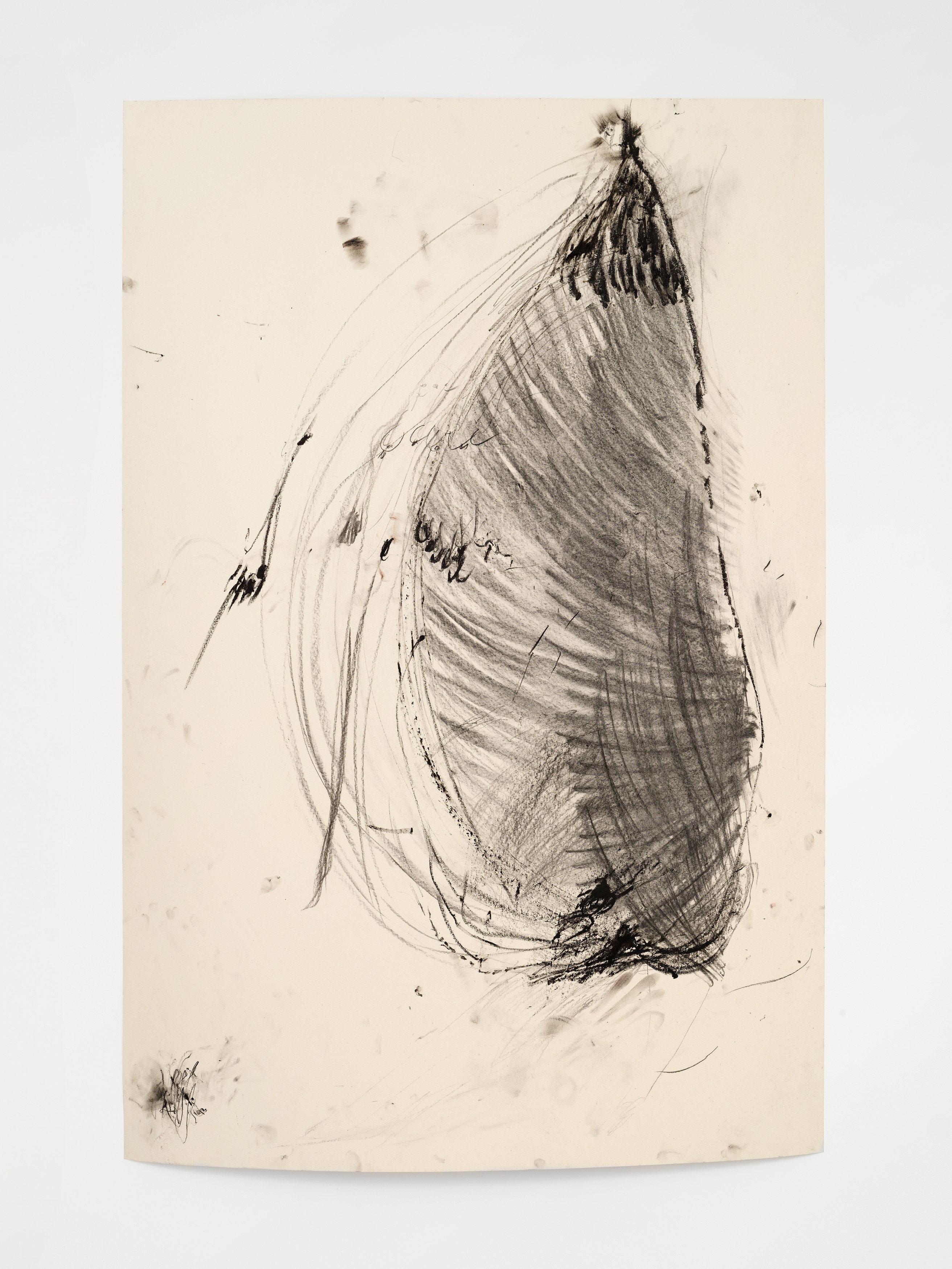 Aurélien Froment, Armineh Negahdari, Un oiseau passe. Je le suis at Marcelle Alix, photo 36
