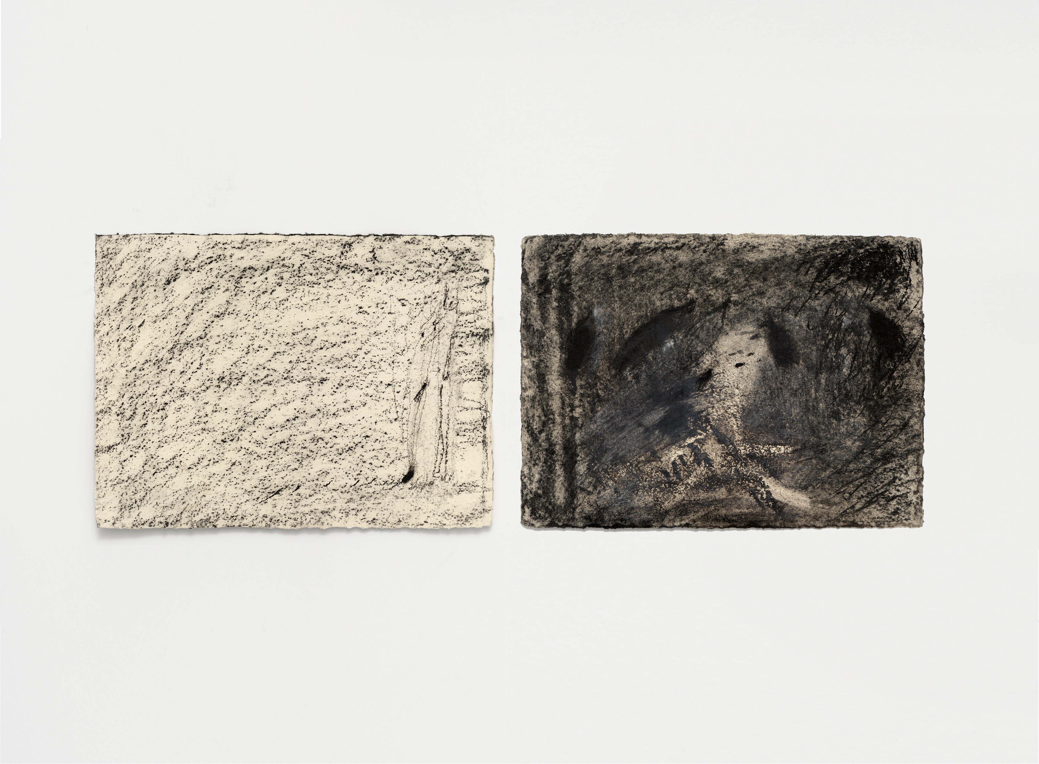 Aurélien Froment, Armineh Negahdari, Un oiseau passe. Je le suis at Marcelle Alix, photo 38