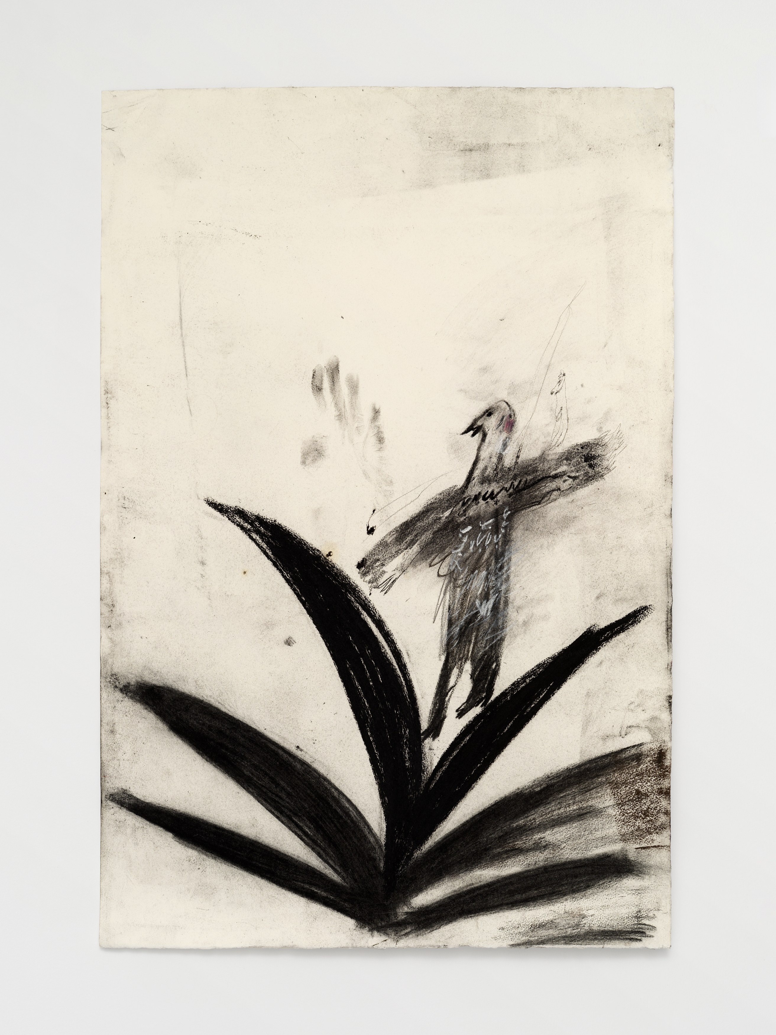 Aurélien Froment, Armineh Negahdari, Un oiseau passe. Je le suis at Marcelle Alix, photo 40