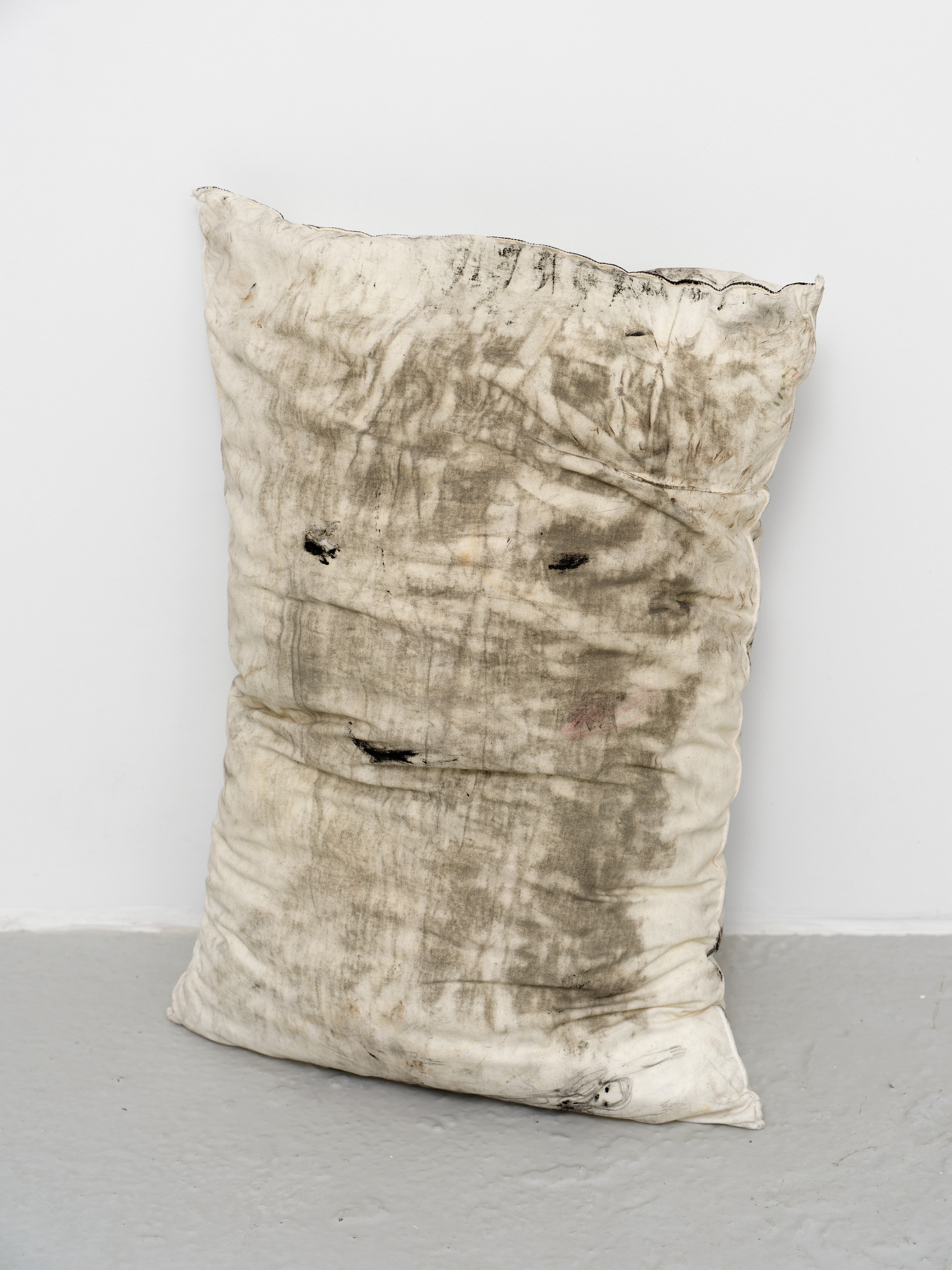 Aurélien Froment, Armineh Negahdari, Un oiseau passe. Je le suis at Marcelle Alix, photo 44
