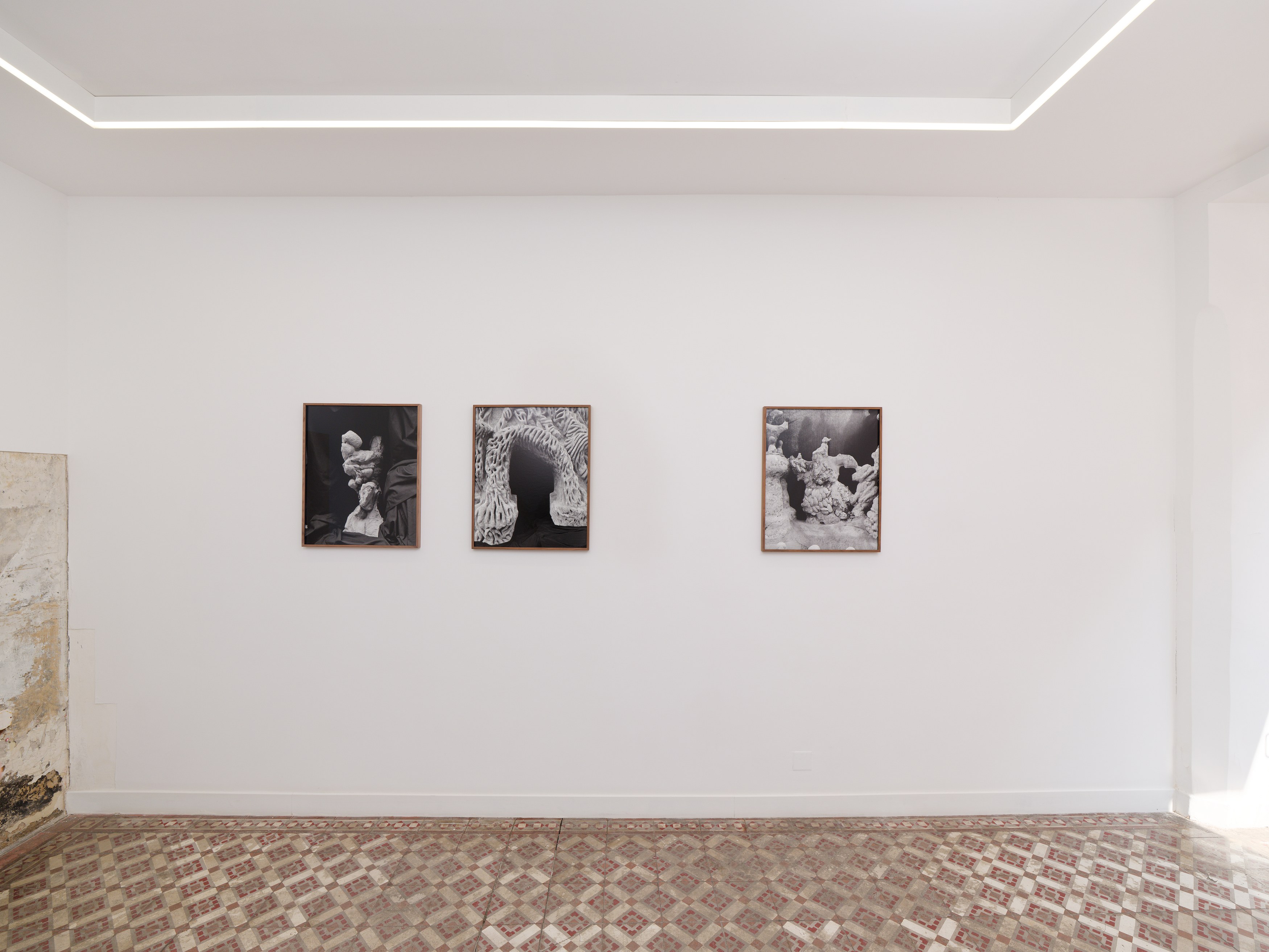 Aurélien Froment, Armineh Negahdari, Un oiseau passe. Je le suis at Marcelle Alix, photo 2