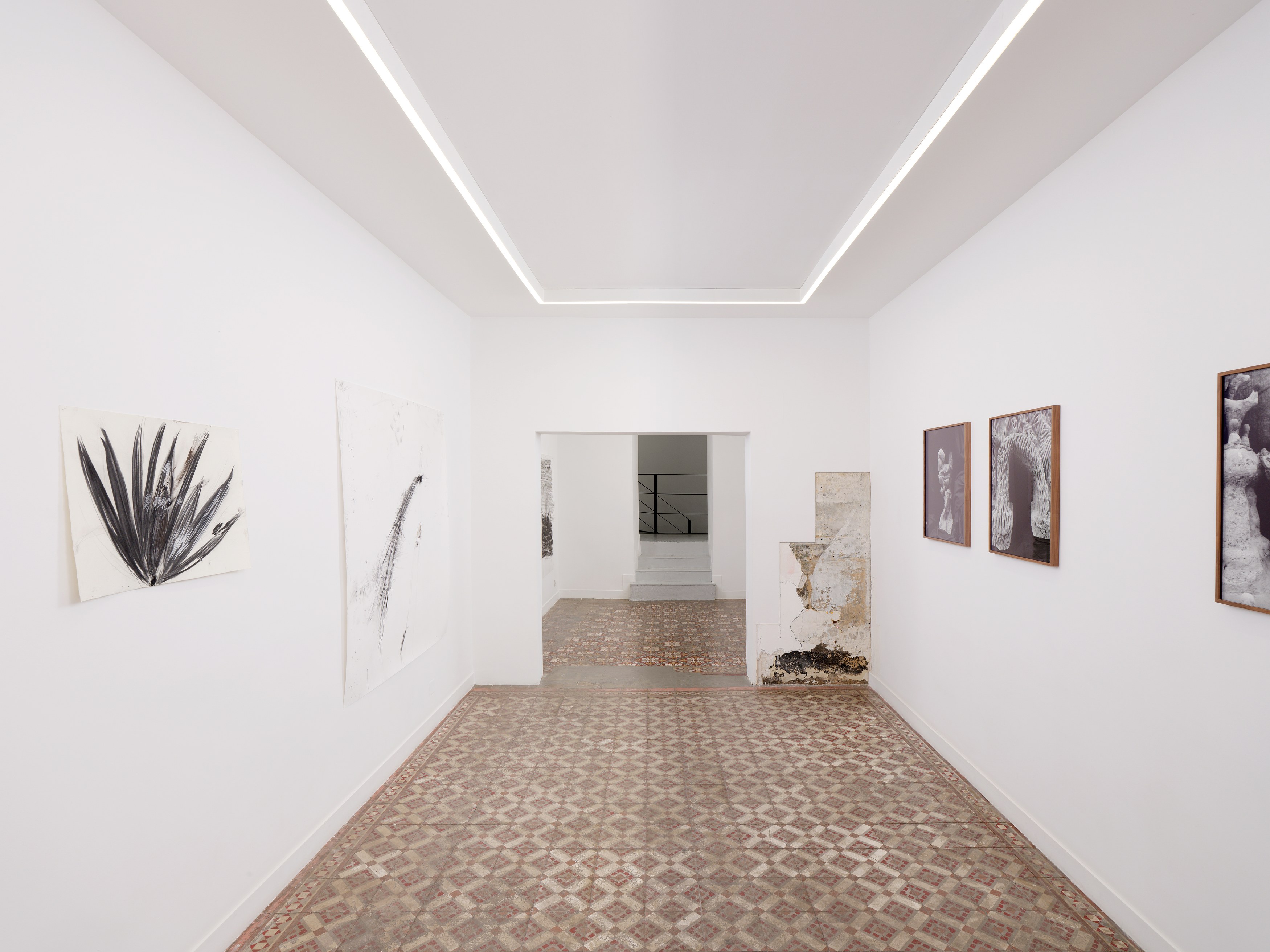 Aurélien Froment, Armineh Negahdari, Un oiseau passe. Je le suis at Marcelle Alix, photo 5