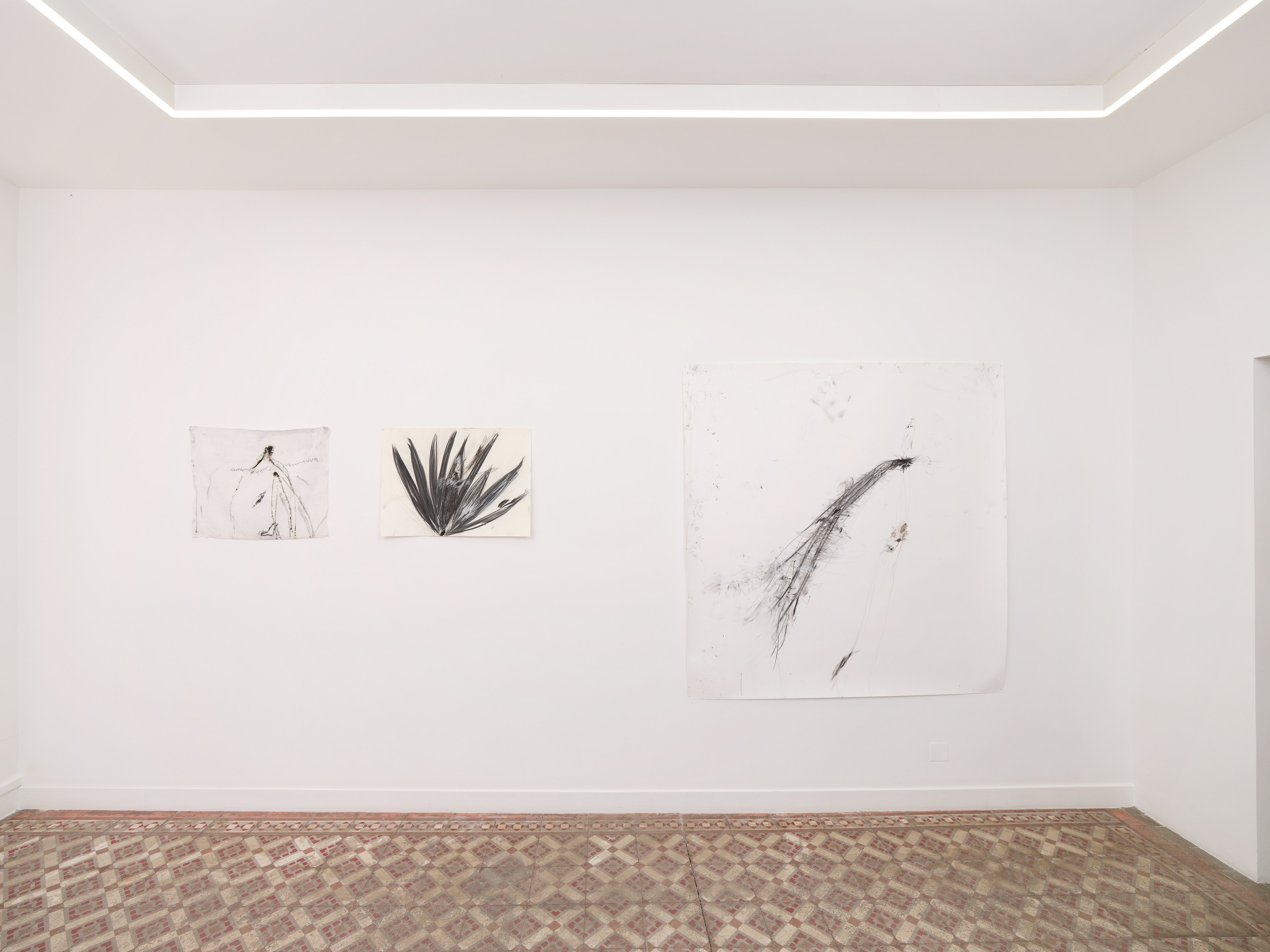 Aurélien Froment, Armineh Negahdari, Un oiseau passe. Je le suis at Marcelle Alix, photo 3