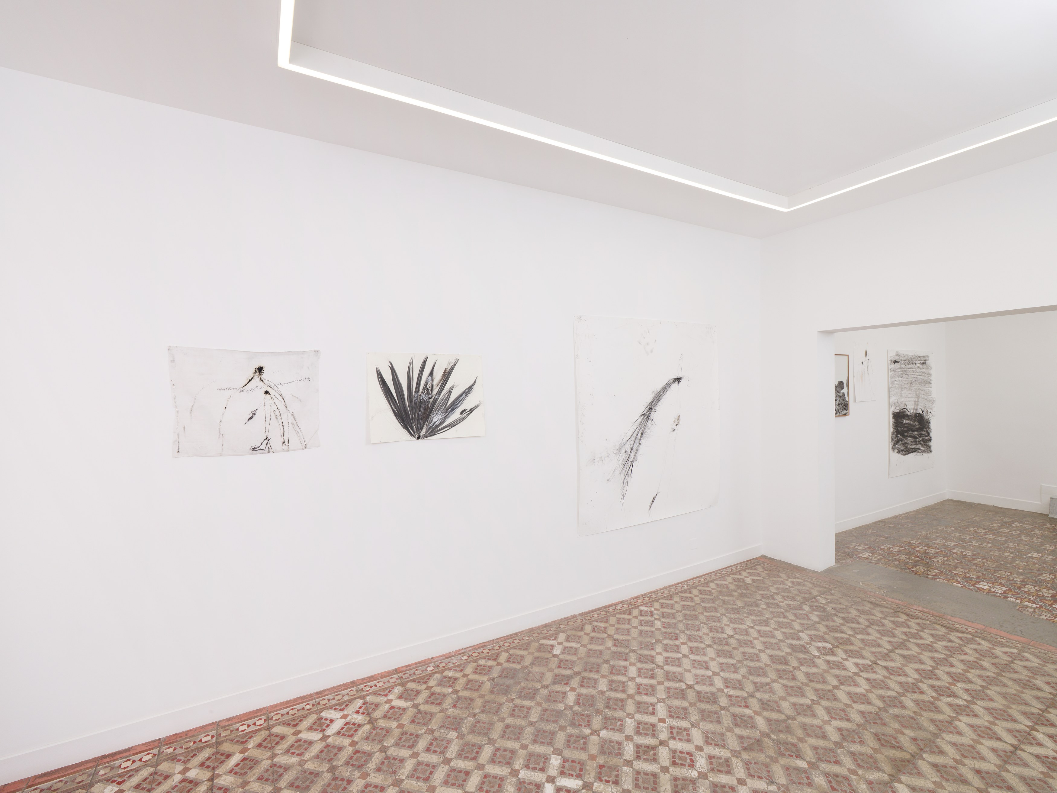 Aurélien Froment, Armineh Negahdari, Un oiseau passe. Je le suis at Marcelle Alix, photo 4