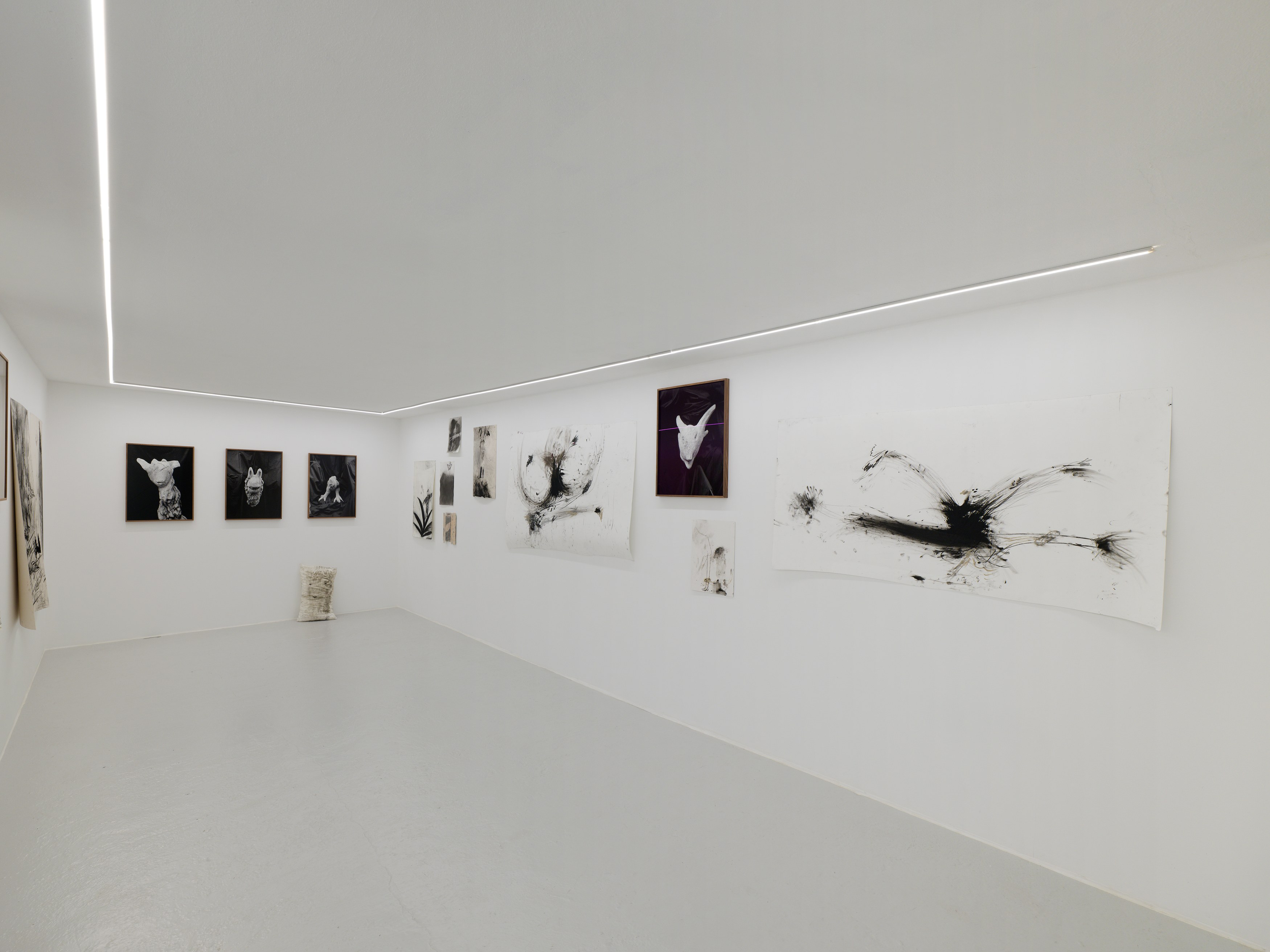Aurélien Froment, Armineh Negahdari, Un oiseau passe. Je le suis at Marcelle Alix, photo 7
