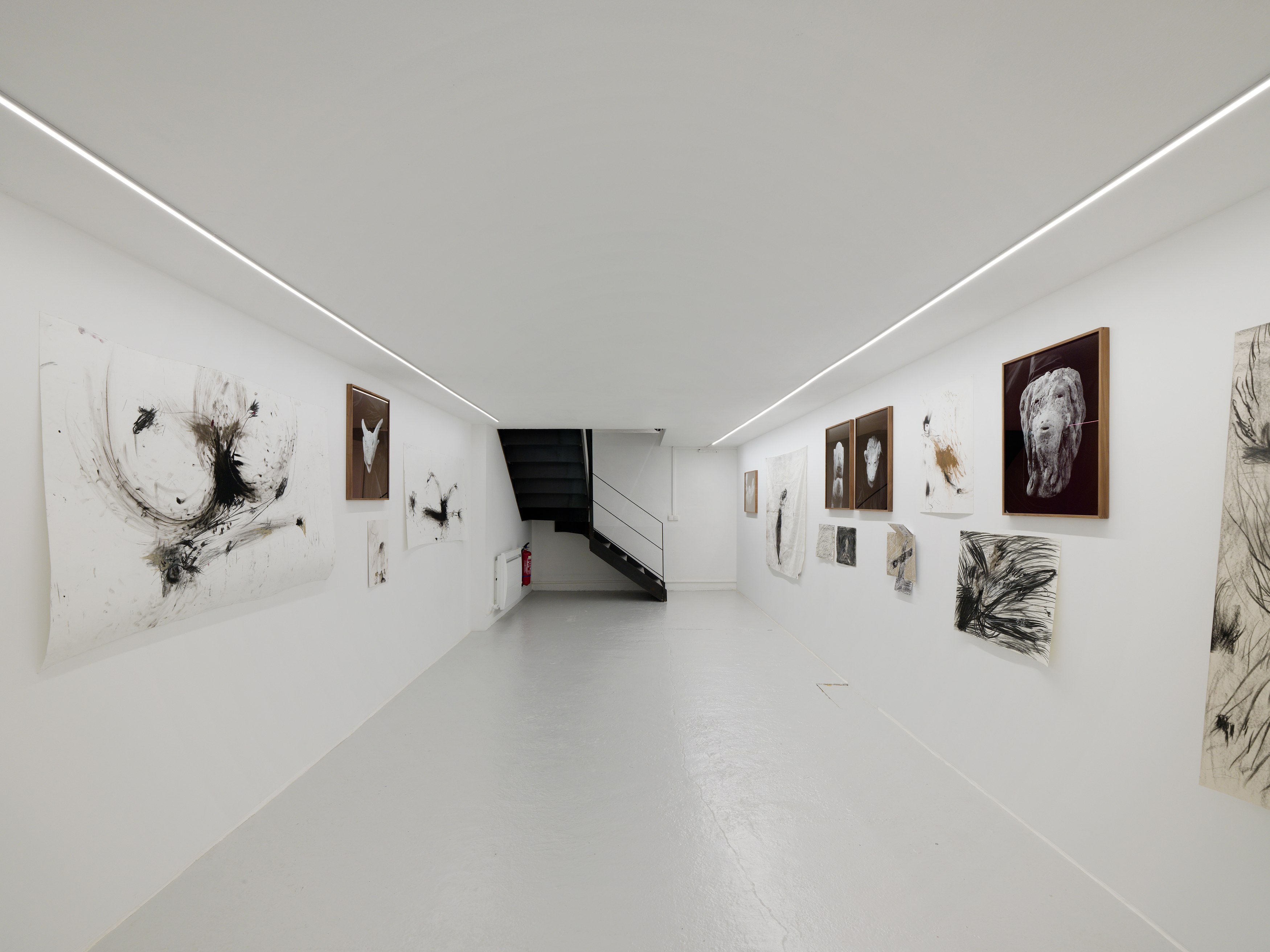 Aurélien Froment, Armineh Negahdari, Un oiseau passe. Je le suis at Marcelle Alix, photo 8