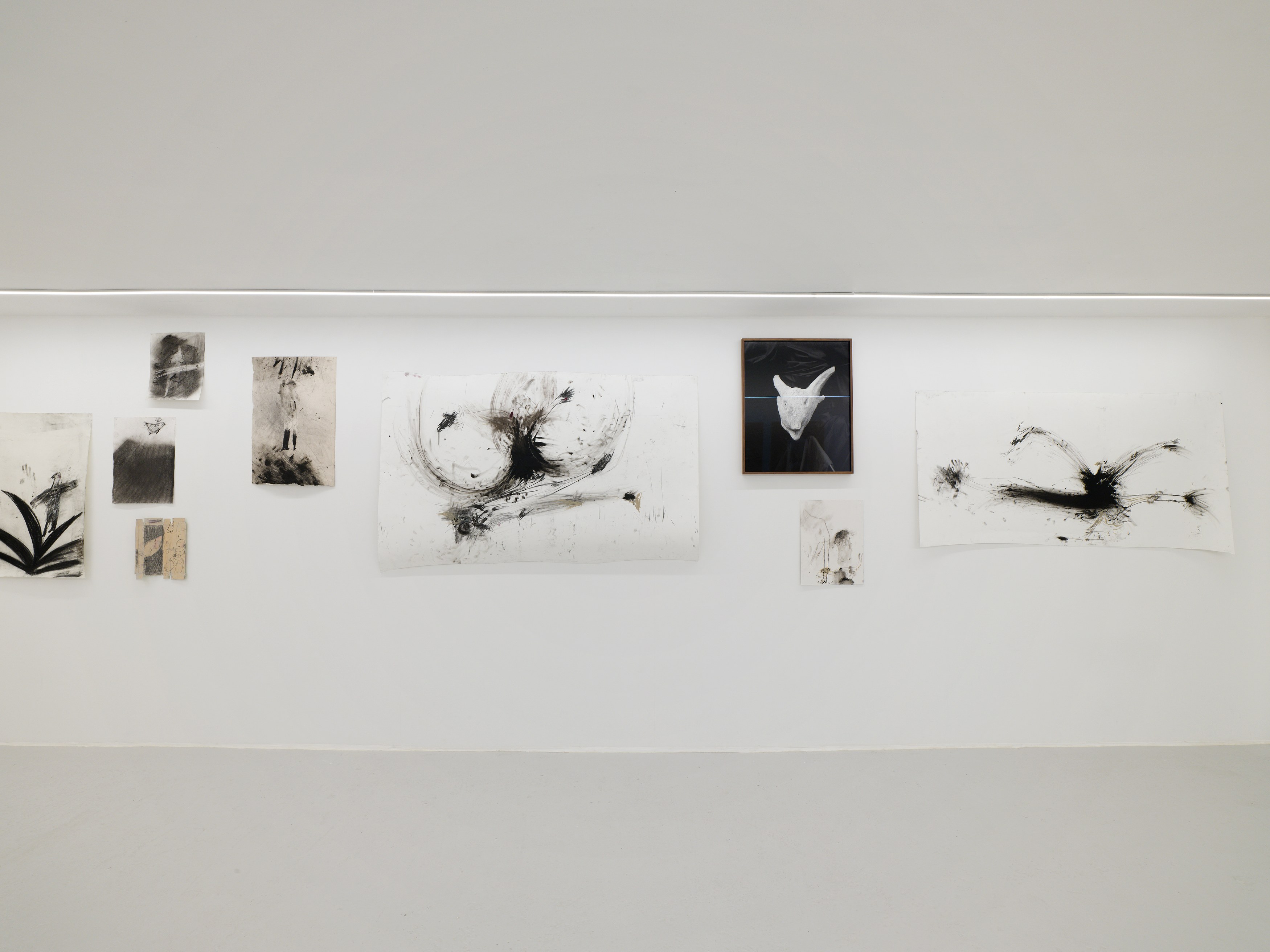 Aurélien Froment, Armineh Negahdari, Un oiseau passe. Je le suis at Marcelle Alix, photo 9
