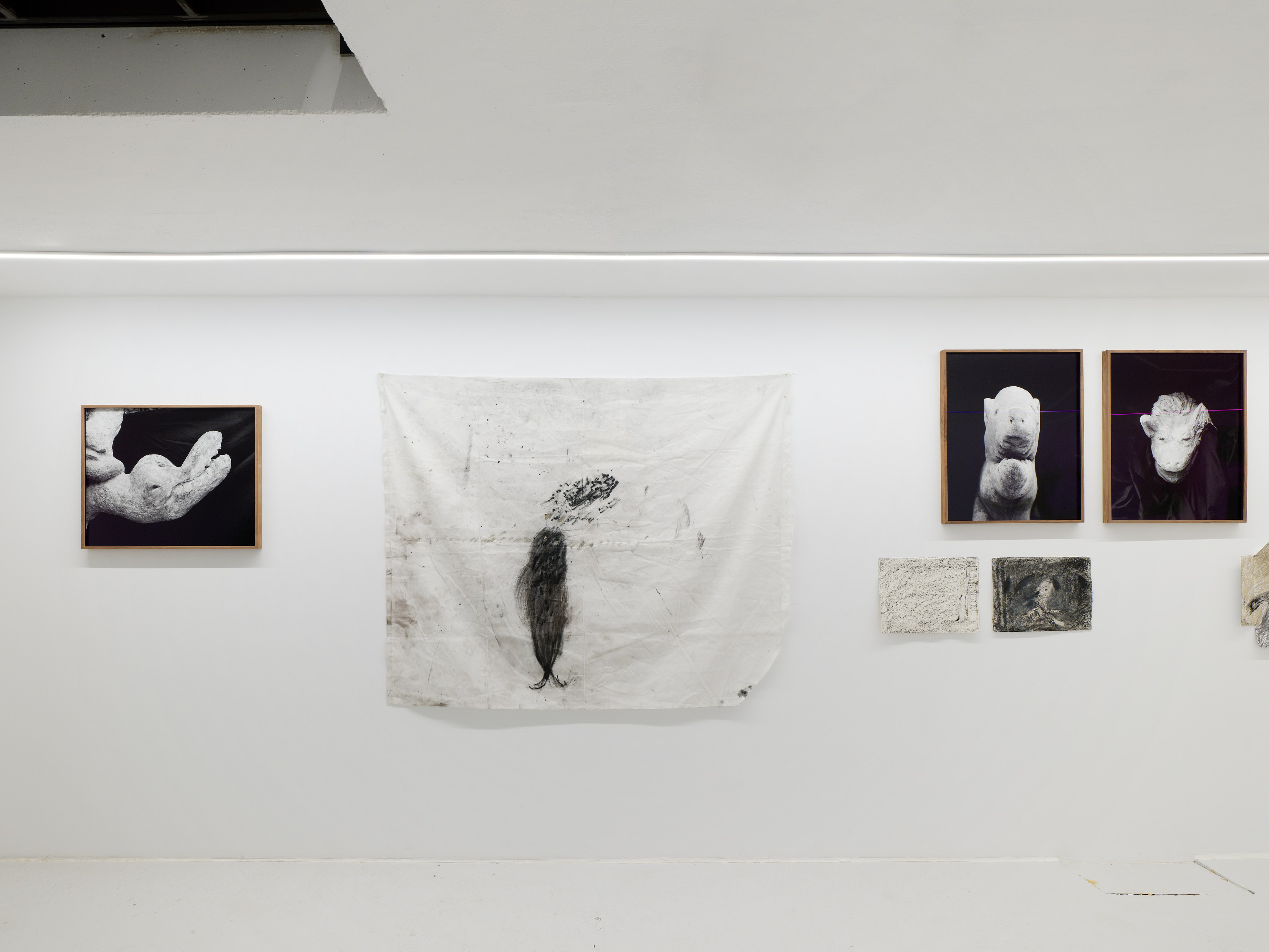 Aurélien Froment, Armineh Negahdari, Un oiseau passe. Je le suis at Marcelle Alix, photo 11