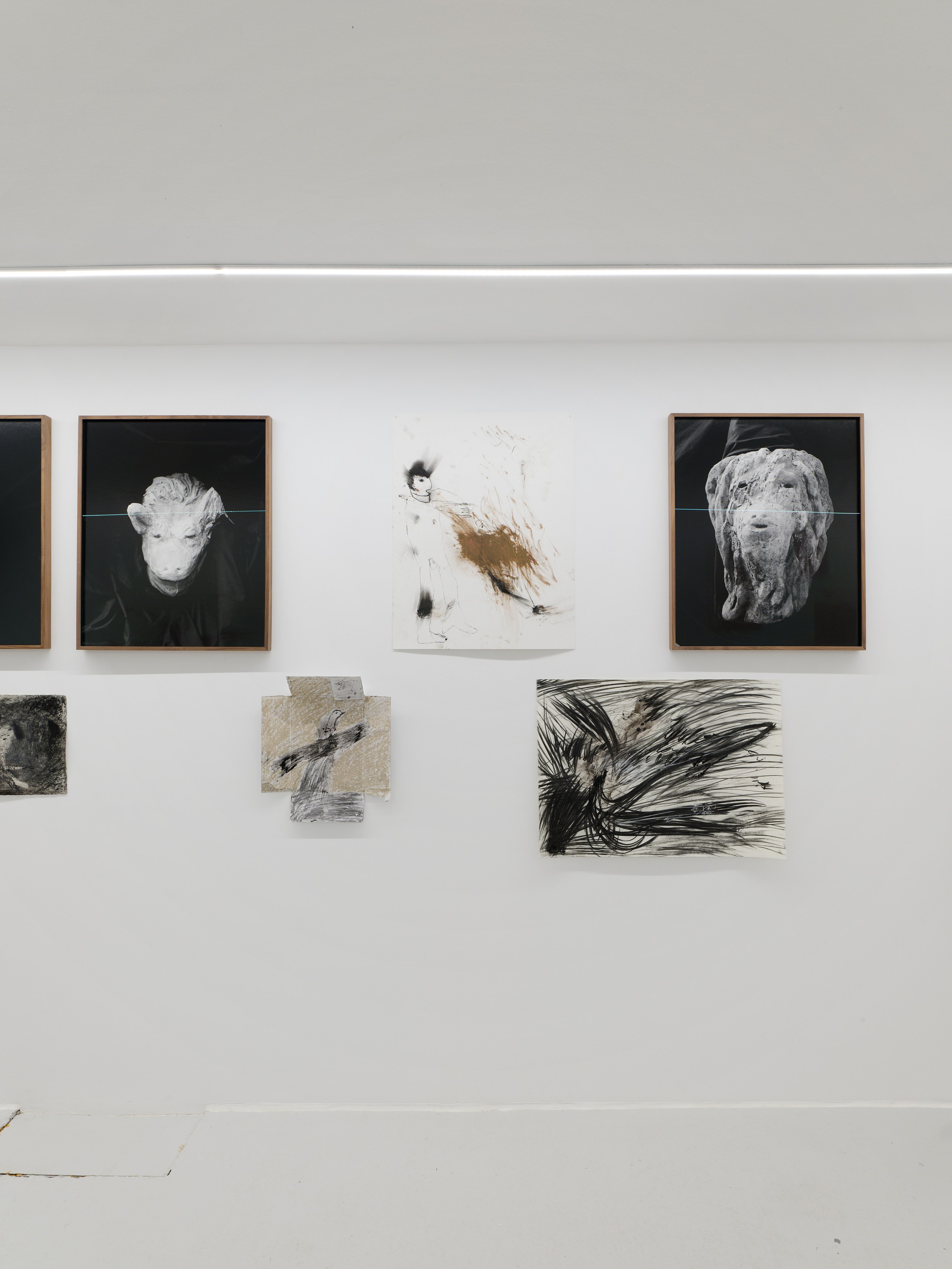 Aurélien Froment, Armineh Negahdari, Un oiseau passe. Je le suis at Marcelle Alix, photo 12