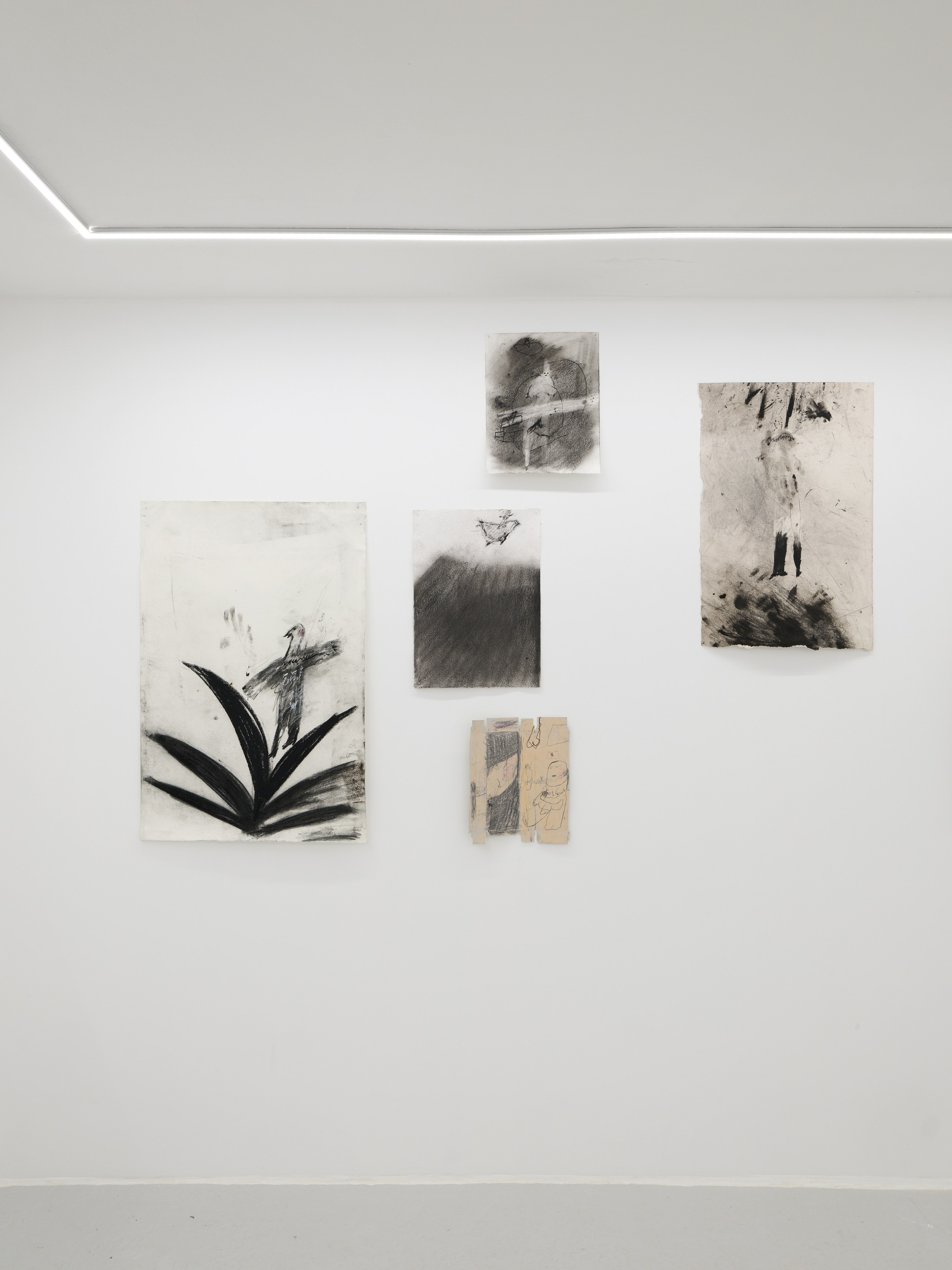 Aurélien Froment, Armineh Negahdari, Un oiseau passe. Je le suis at Marcelle Alix, photo 13