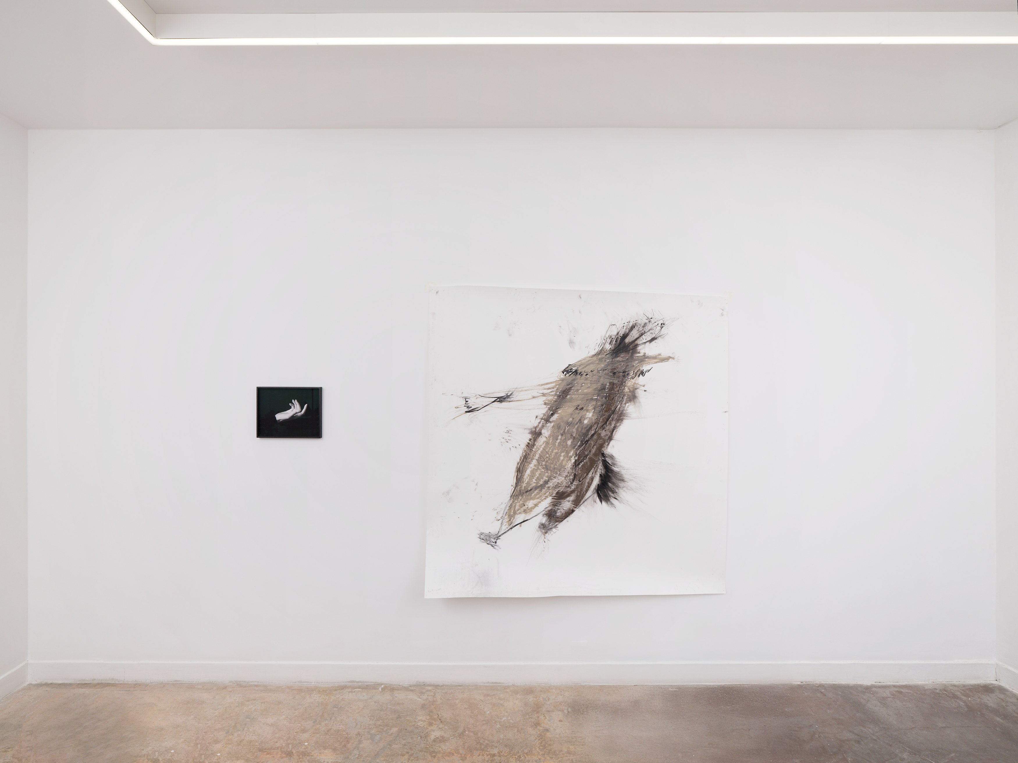 Aurélien Froment, Armineh Negahdari, Un oiseau passe. Je le suis at Marcelle Alix, photo 17