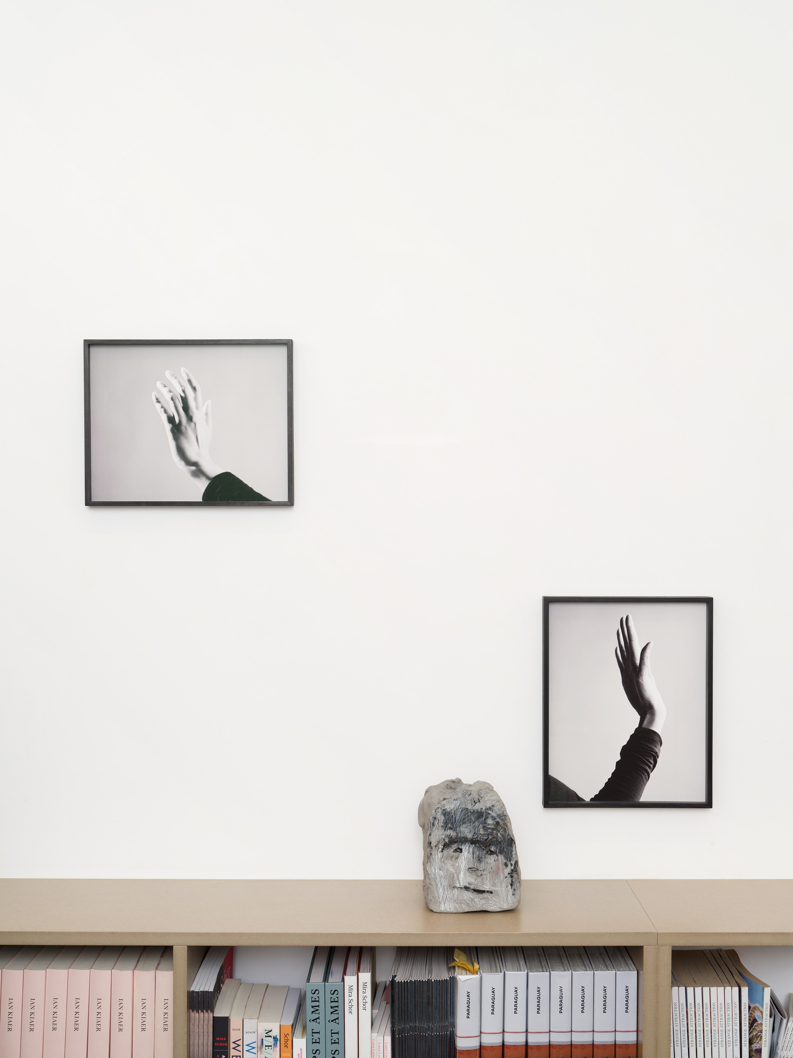 Aurélien Froment, Armineh Negahdari, Un oiseau passe. Je le suis at Marcelle Alix, photo 19