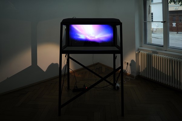 Image 3 of 8