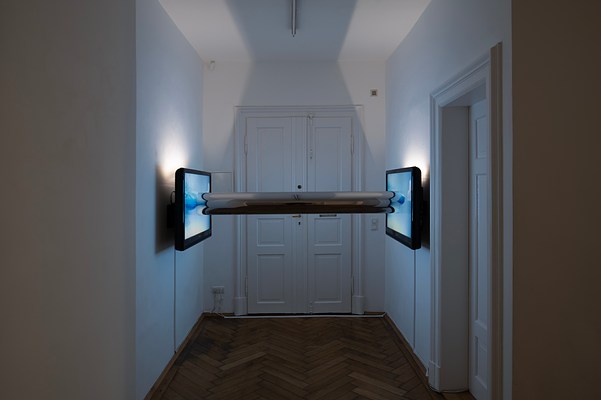 Image 6 of 8