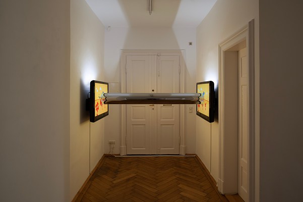Image 8 of 8