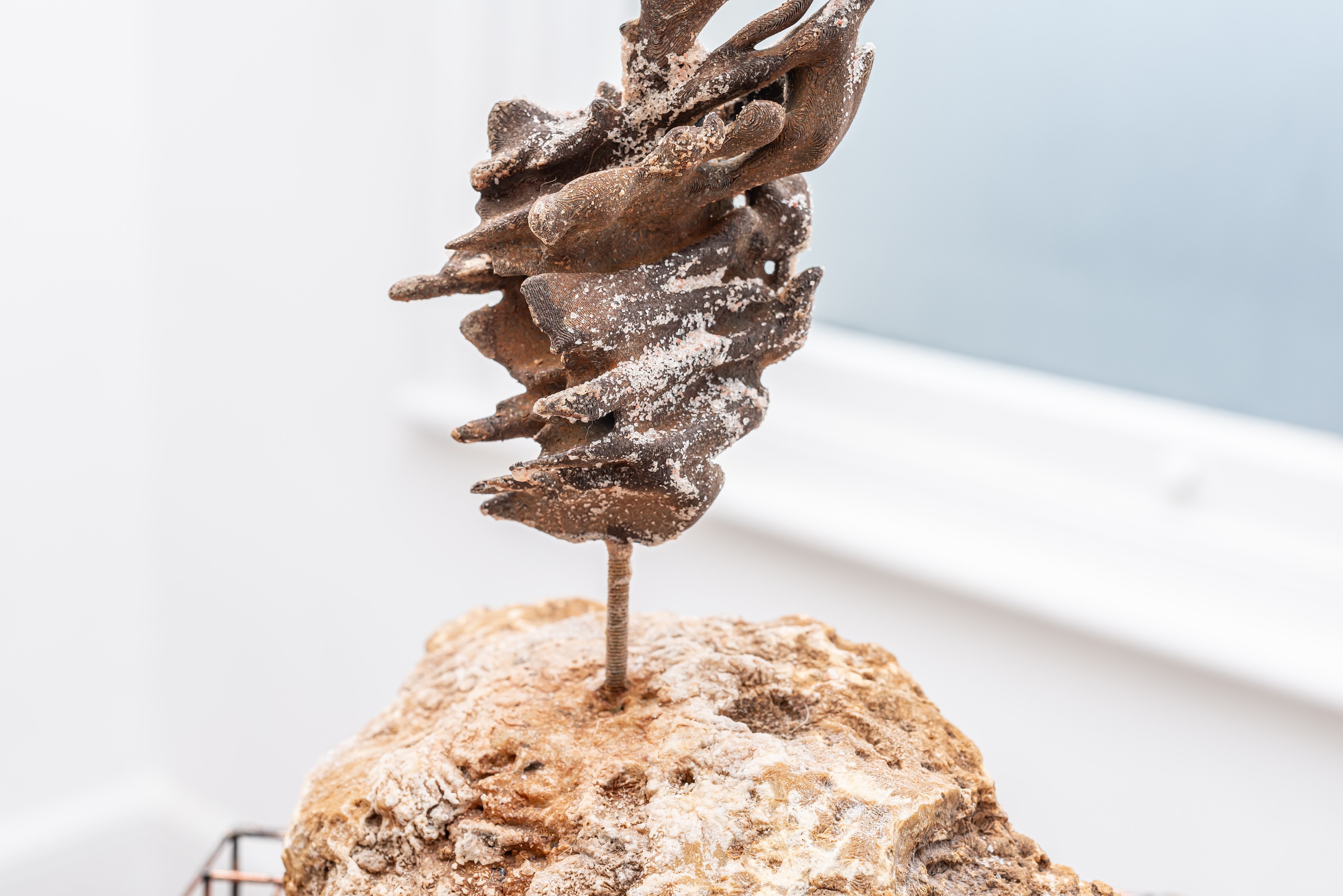Jack Laver, Li Li Ren, Fragments at Zéruì, photo 37