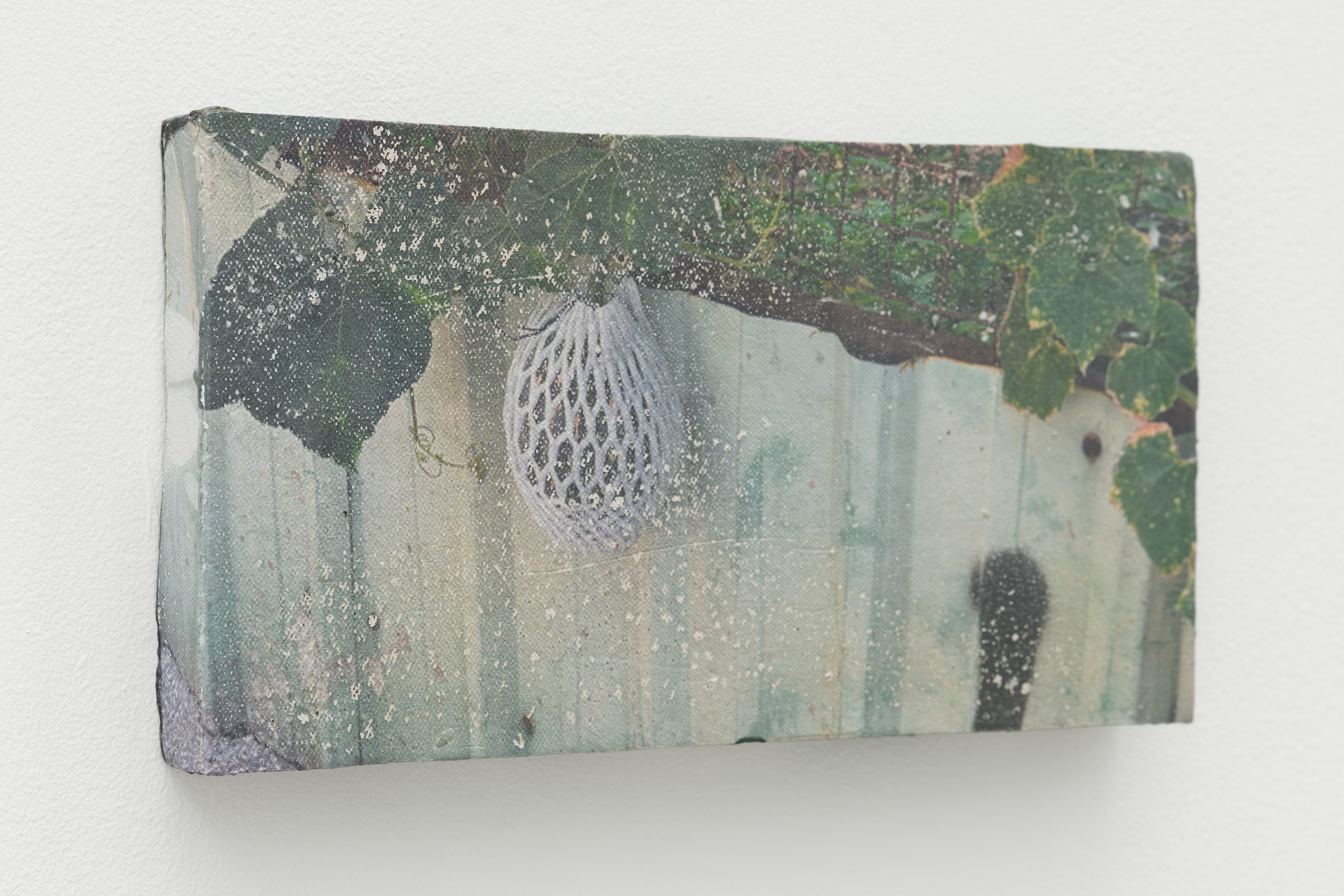 Lyric Shen, There Is an Occlusion at Silke Lindner, photo 16