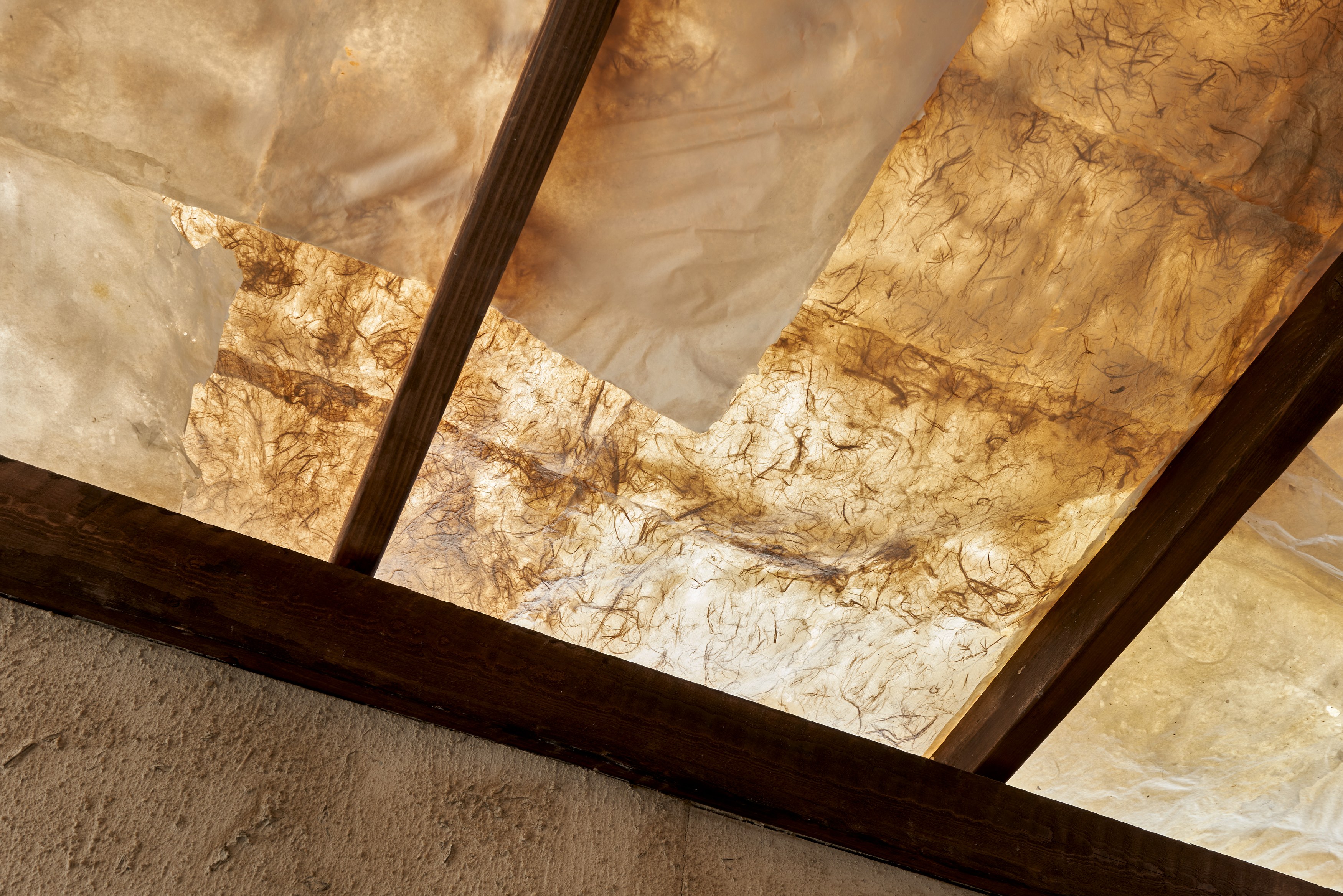 Lyric Shen, There Is an Occlusion at Silke Lindner, photo 25