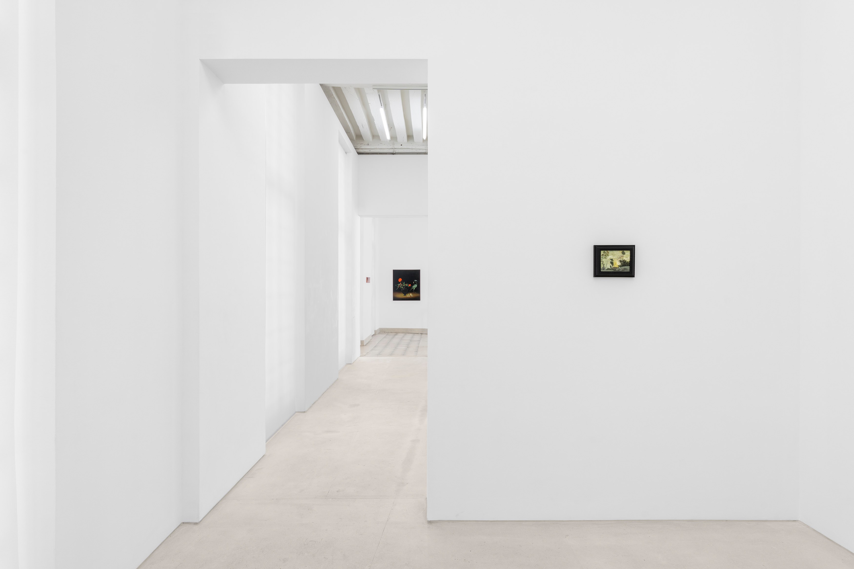 Sanam Khatibi, The Hunger at Mendes Wood DM, photo 12