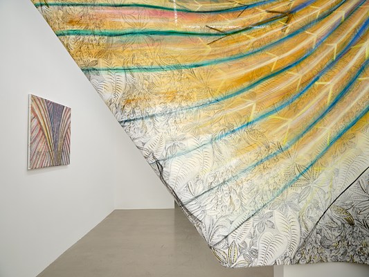 Image 11 of 21