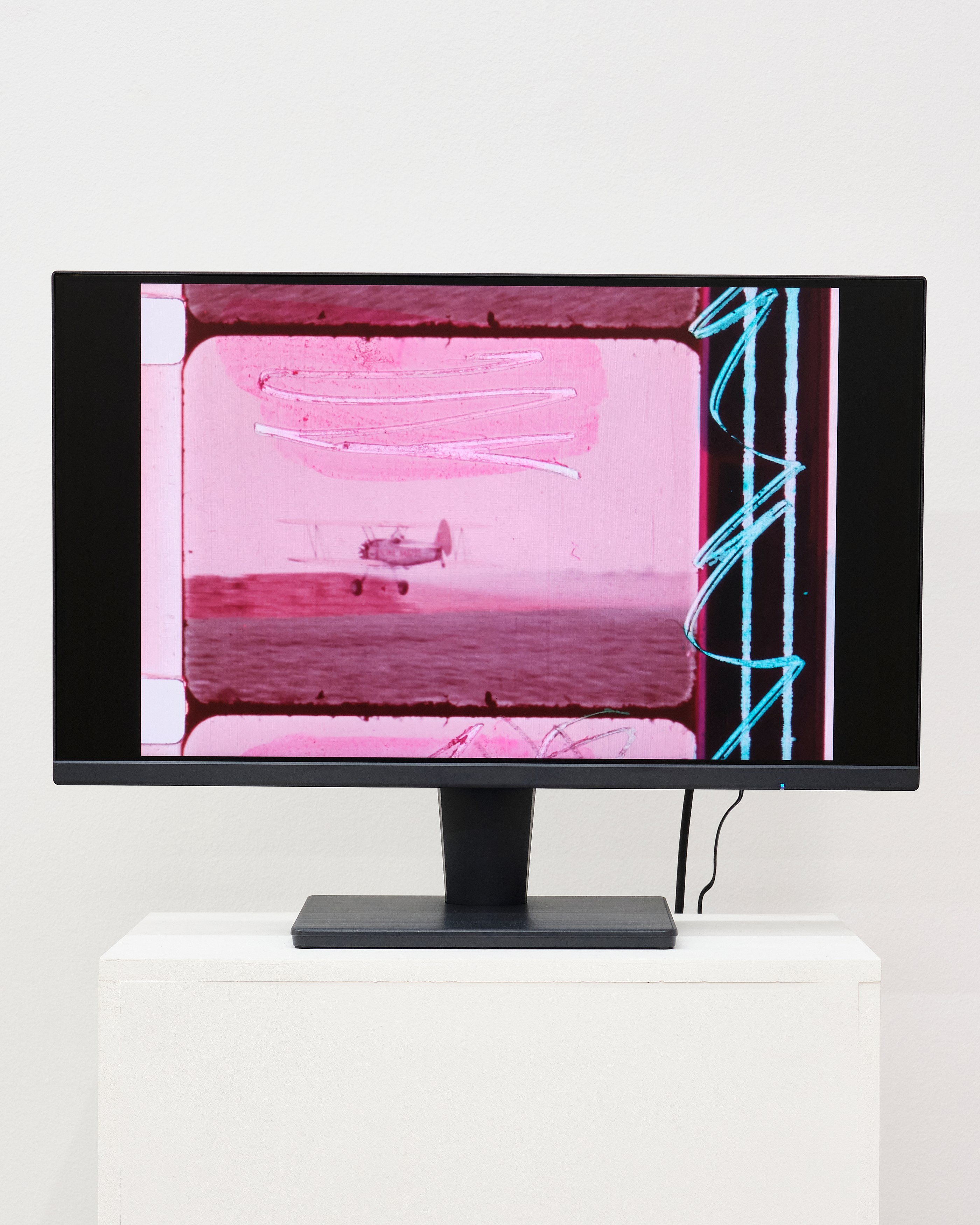 Wayne Koestenbaum, image 31 of 45