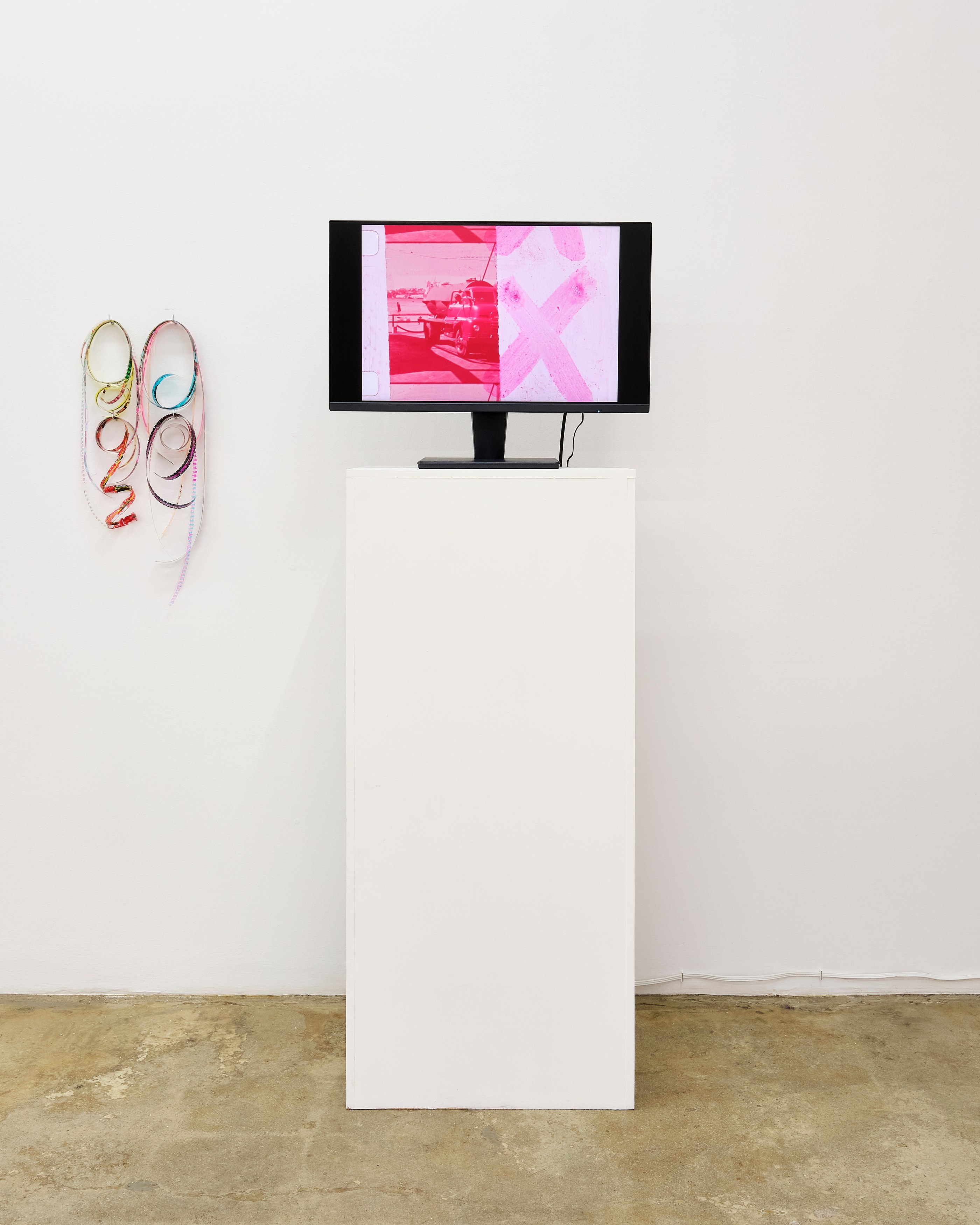 Wayne Koestenbaum, image 30 of 45