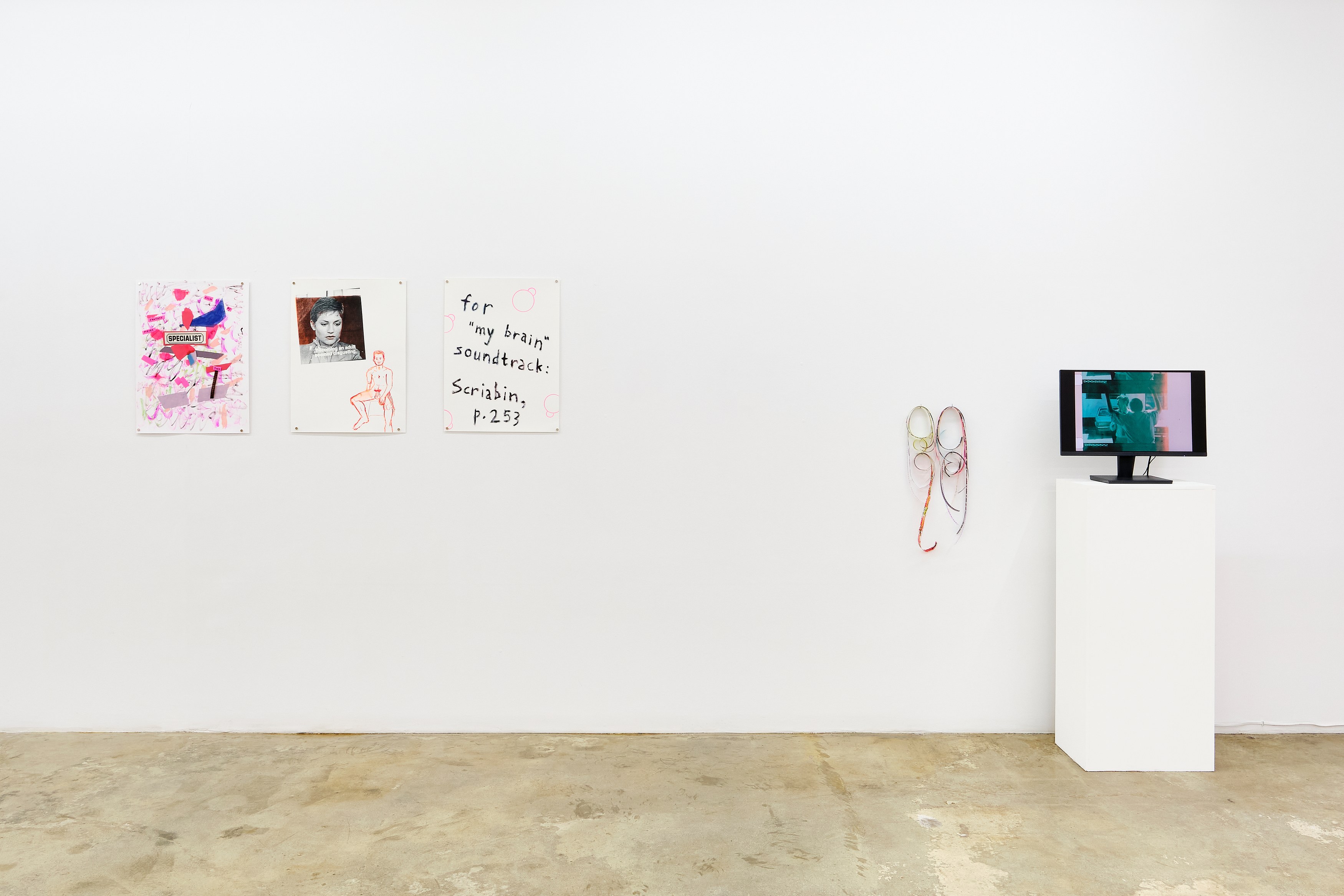 Wayne Koestenbaum, image 9 of 45