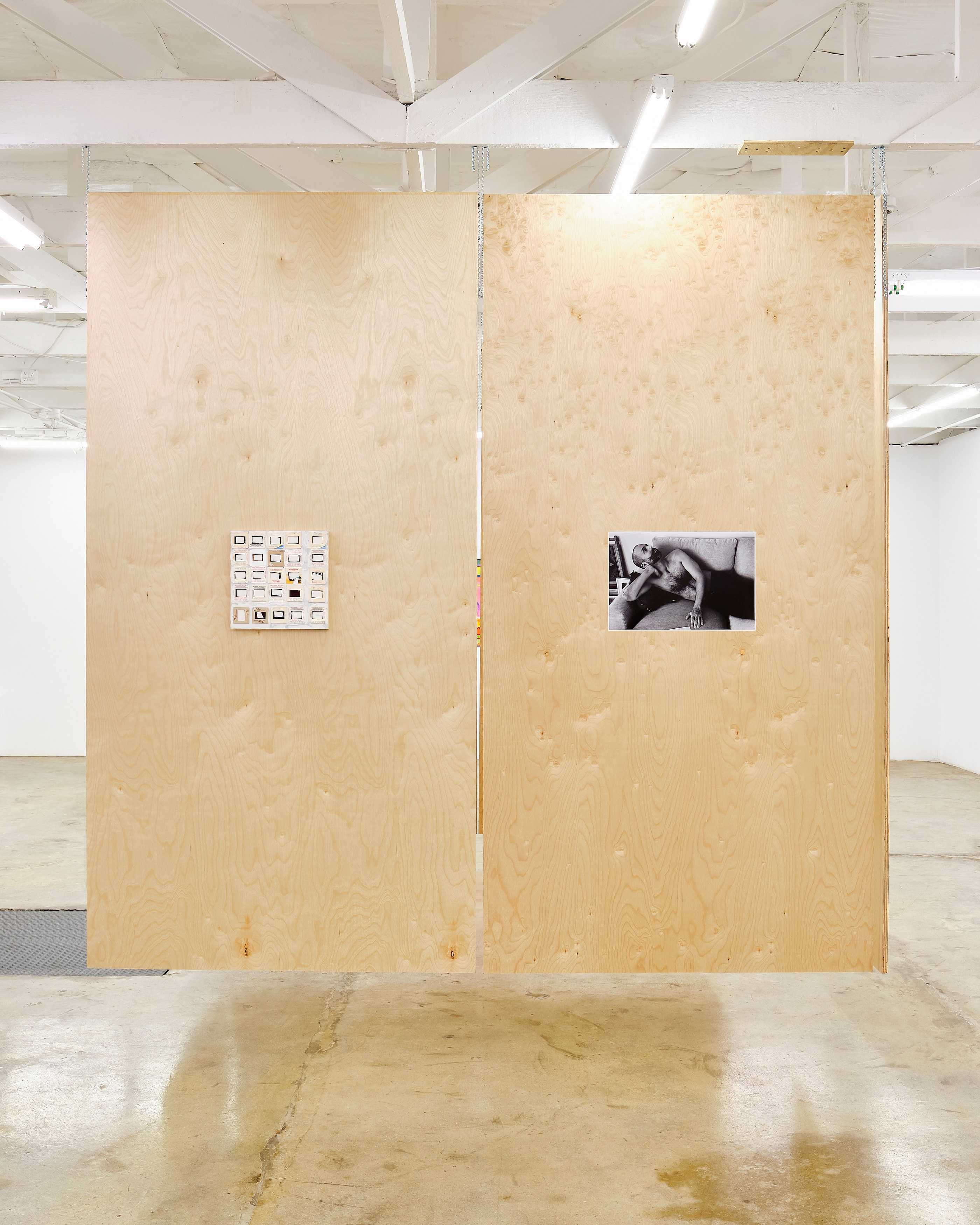 Wayne Koestenbaum, image 12 of 45