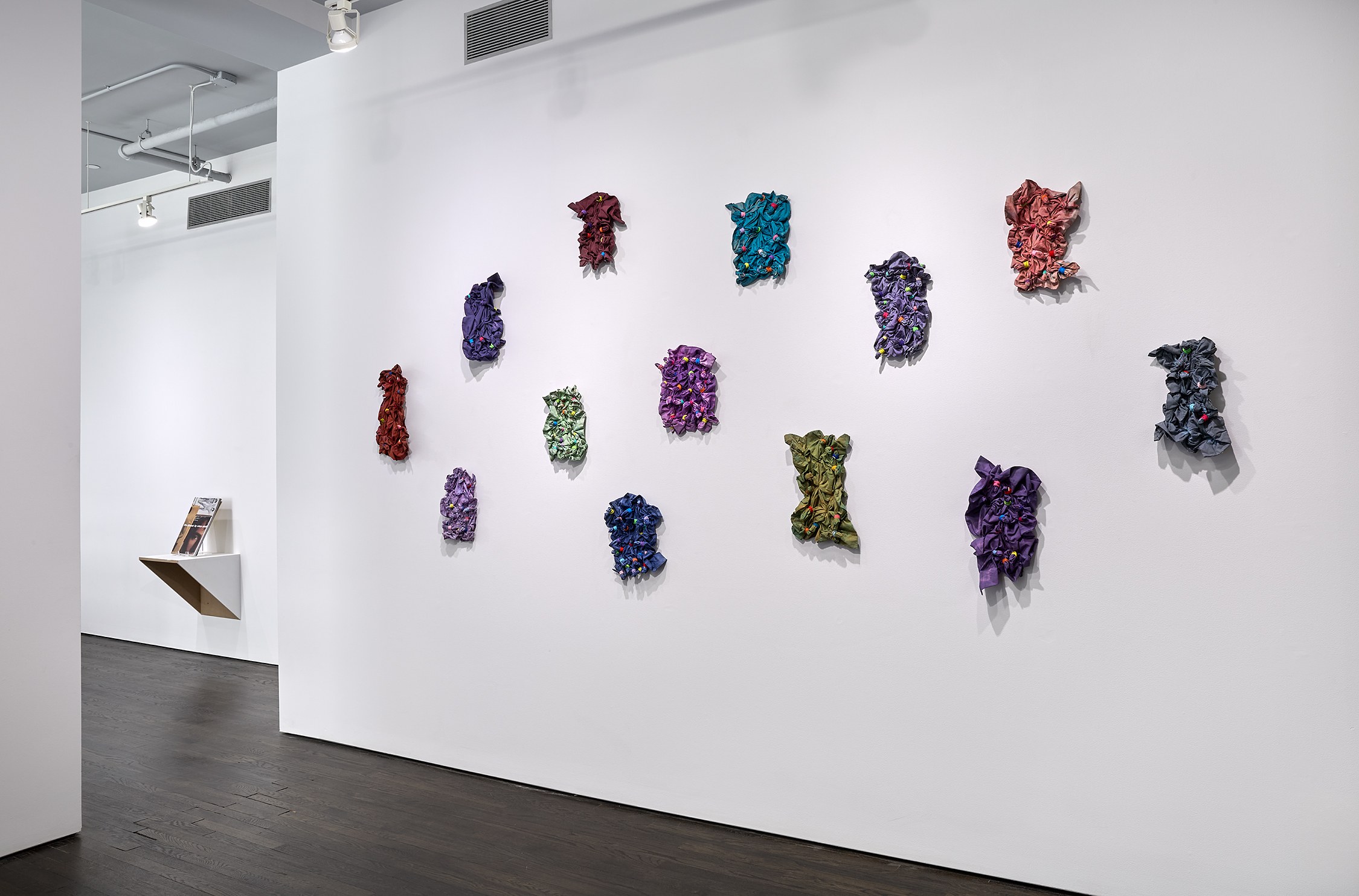 Veronica Ryan, Collective Moments at White Columns, photo 3