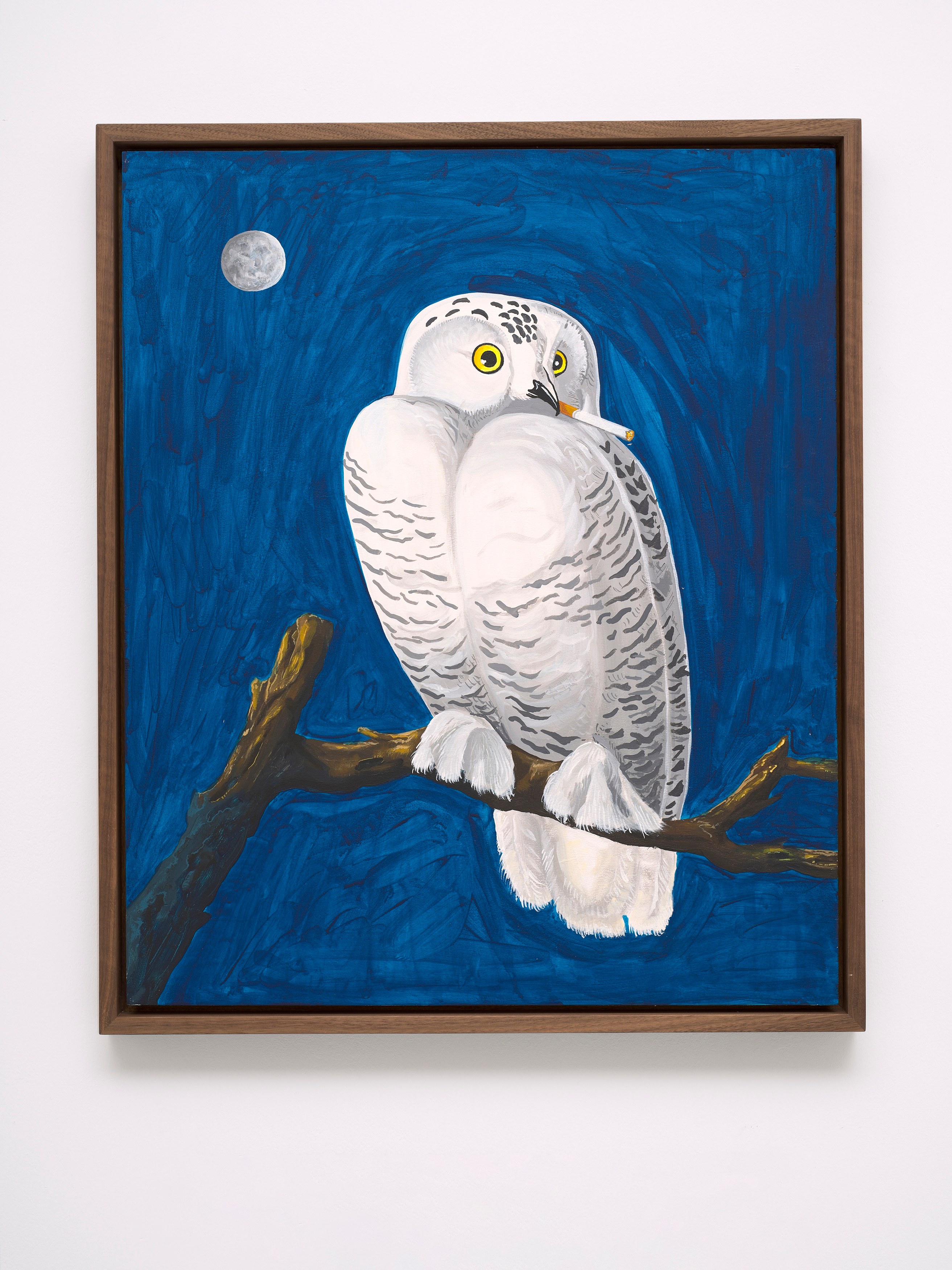 Djordje Ozbolt, Birdsongs of Praise at Museum St, photo 11