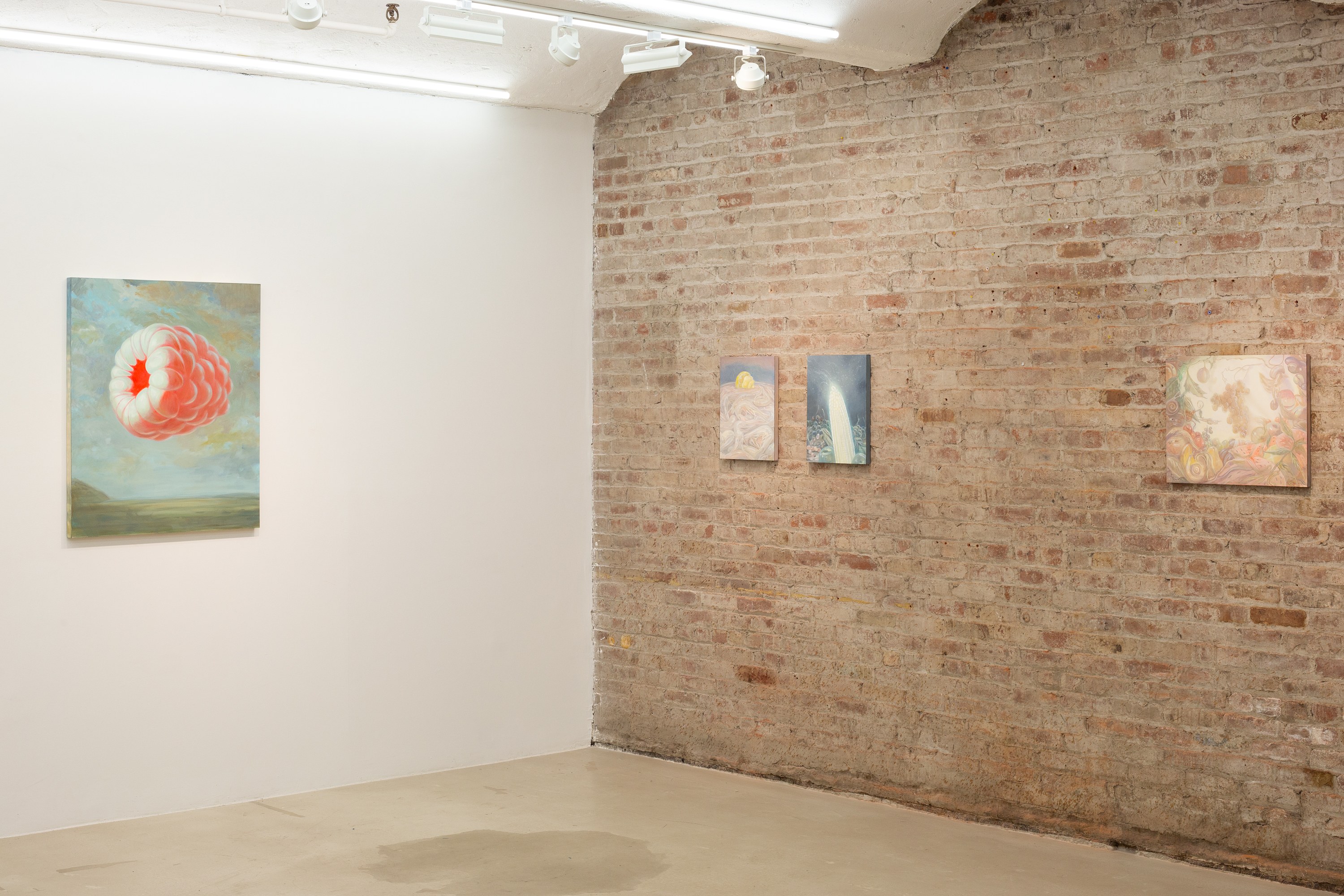 Alina Bliumis, Gut Feelings at Situations, photo 15
