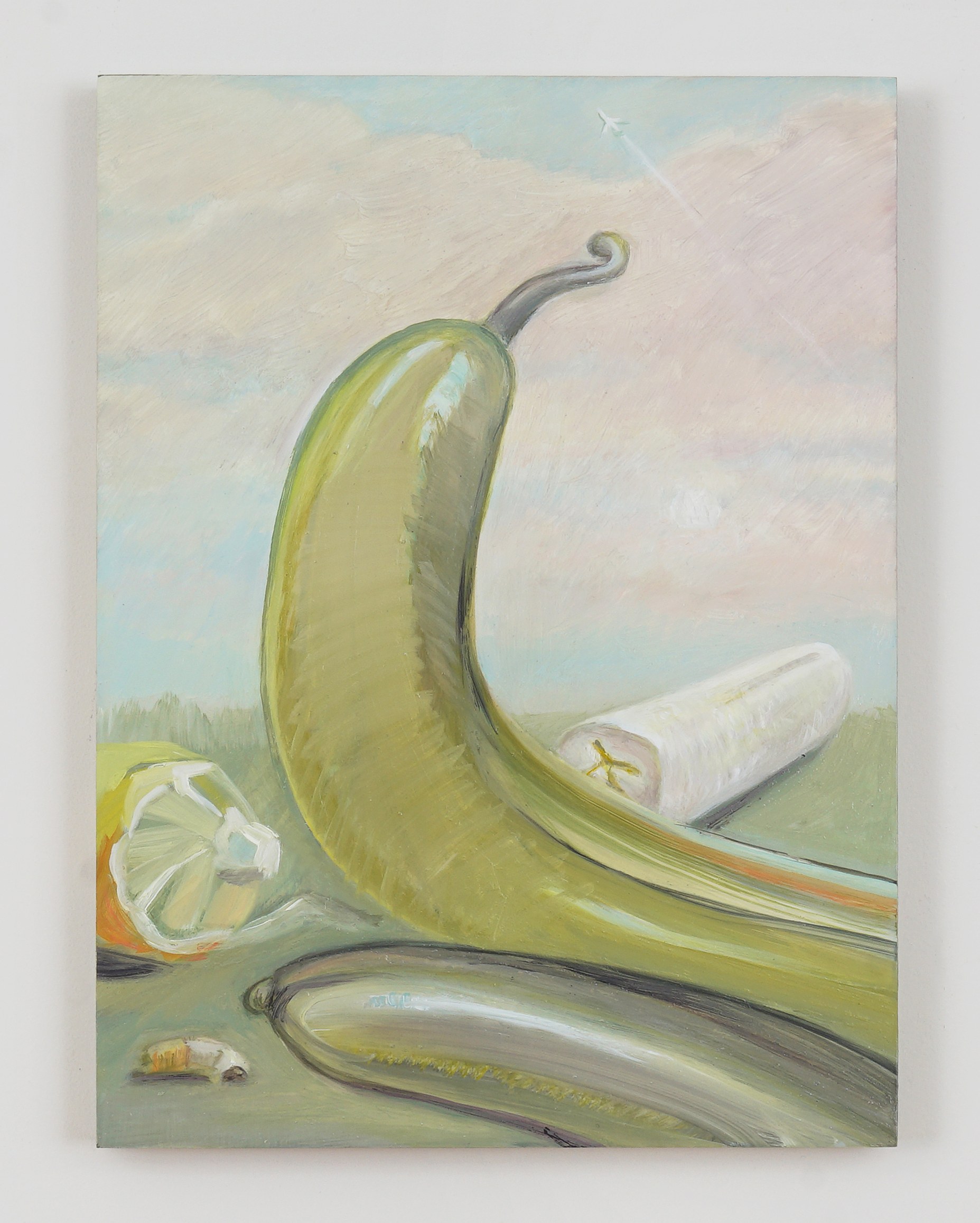 Alina Bliumis, Gut Feelings at Situations, photo 31