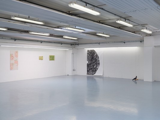 Image 2 of 37