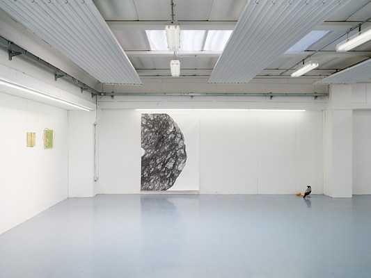 Image 8 of 37