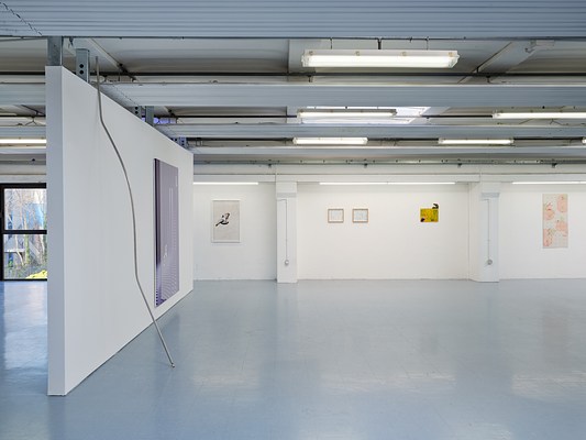 Image 10 of 37