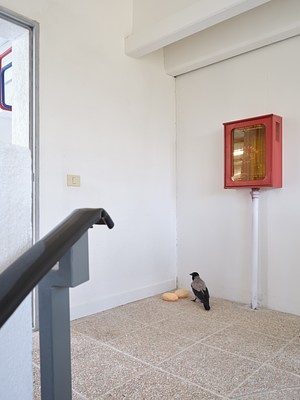 Image 13 of 37