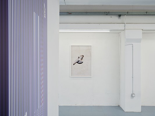 Image 21 of 37