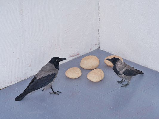 Image 23 of 37