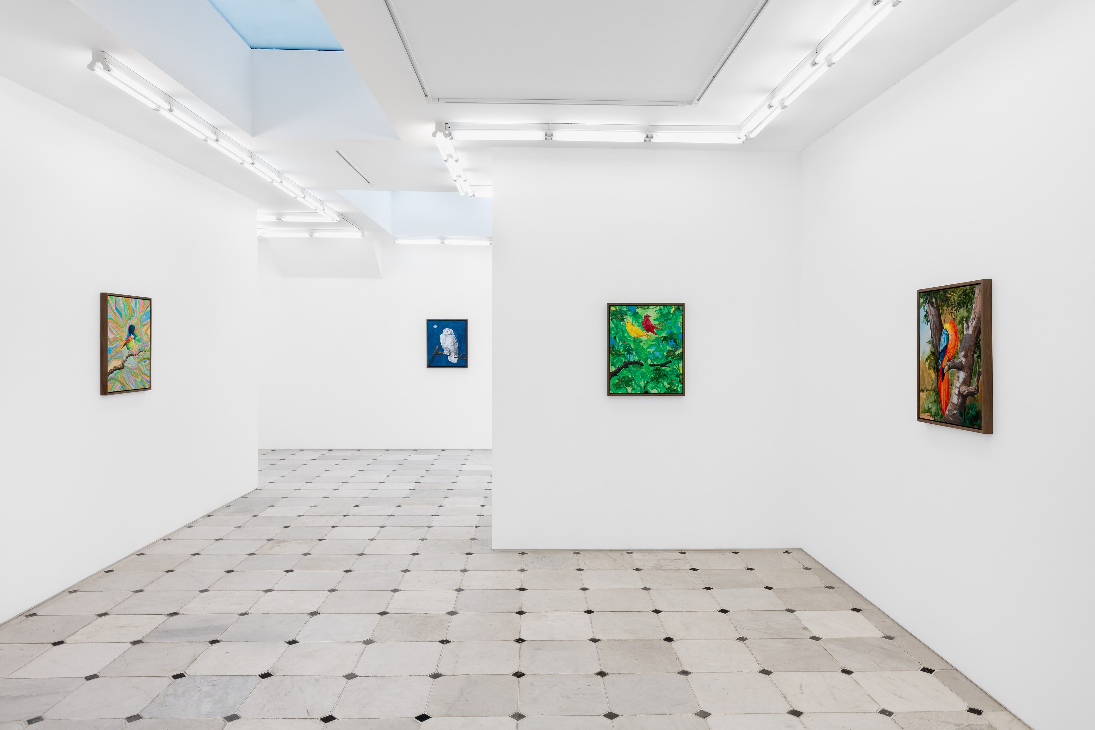 Djordje Ozbolt, Birdsongs of Praise at Museum St, photo 2