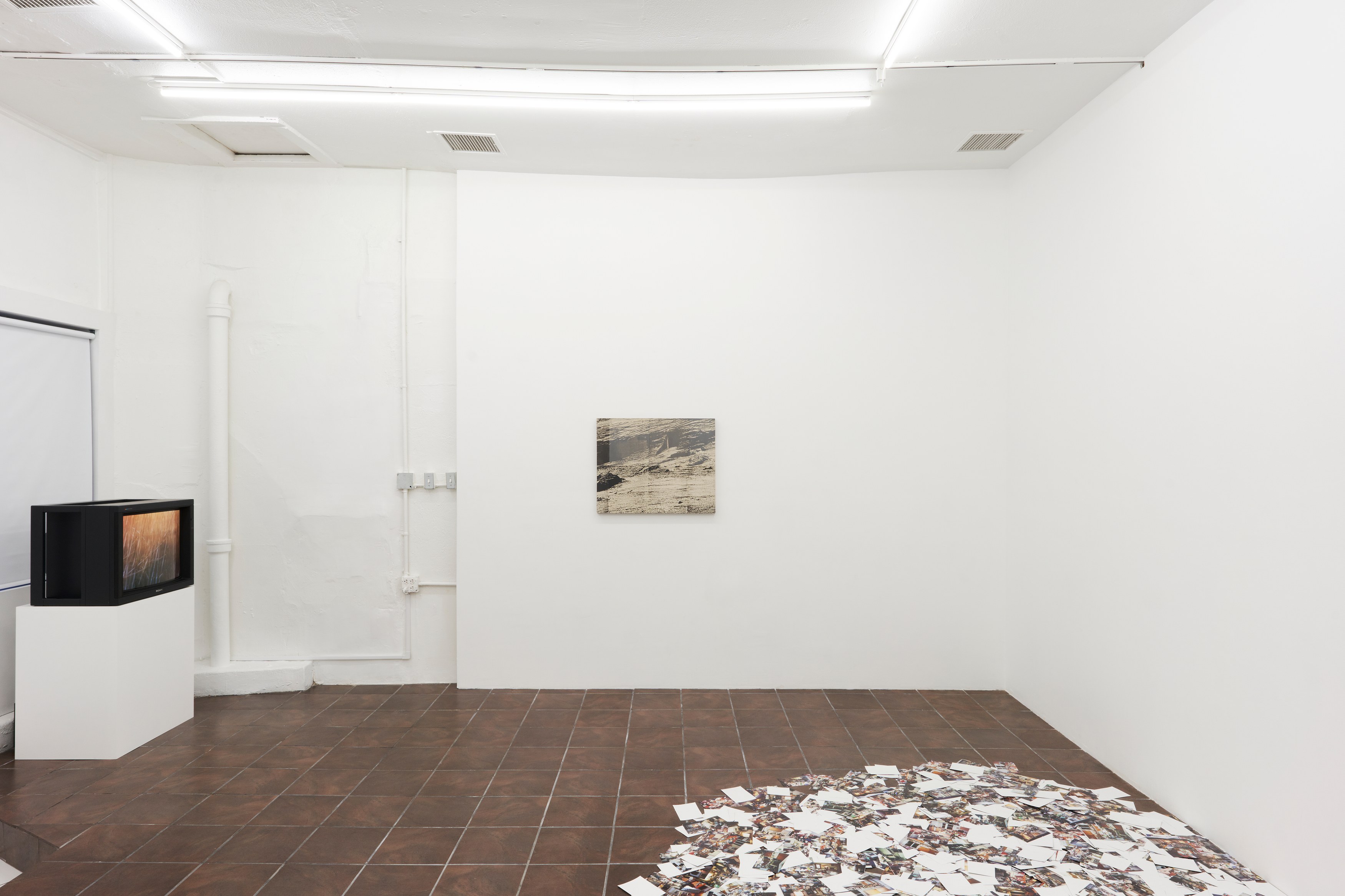 Anthony Discenza, Nancy Holt, Robert Smithson, First Alienation at Timeshare, photo 2