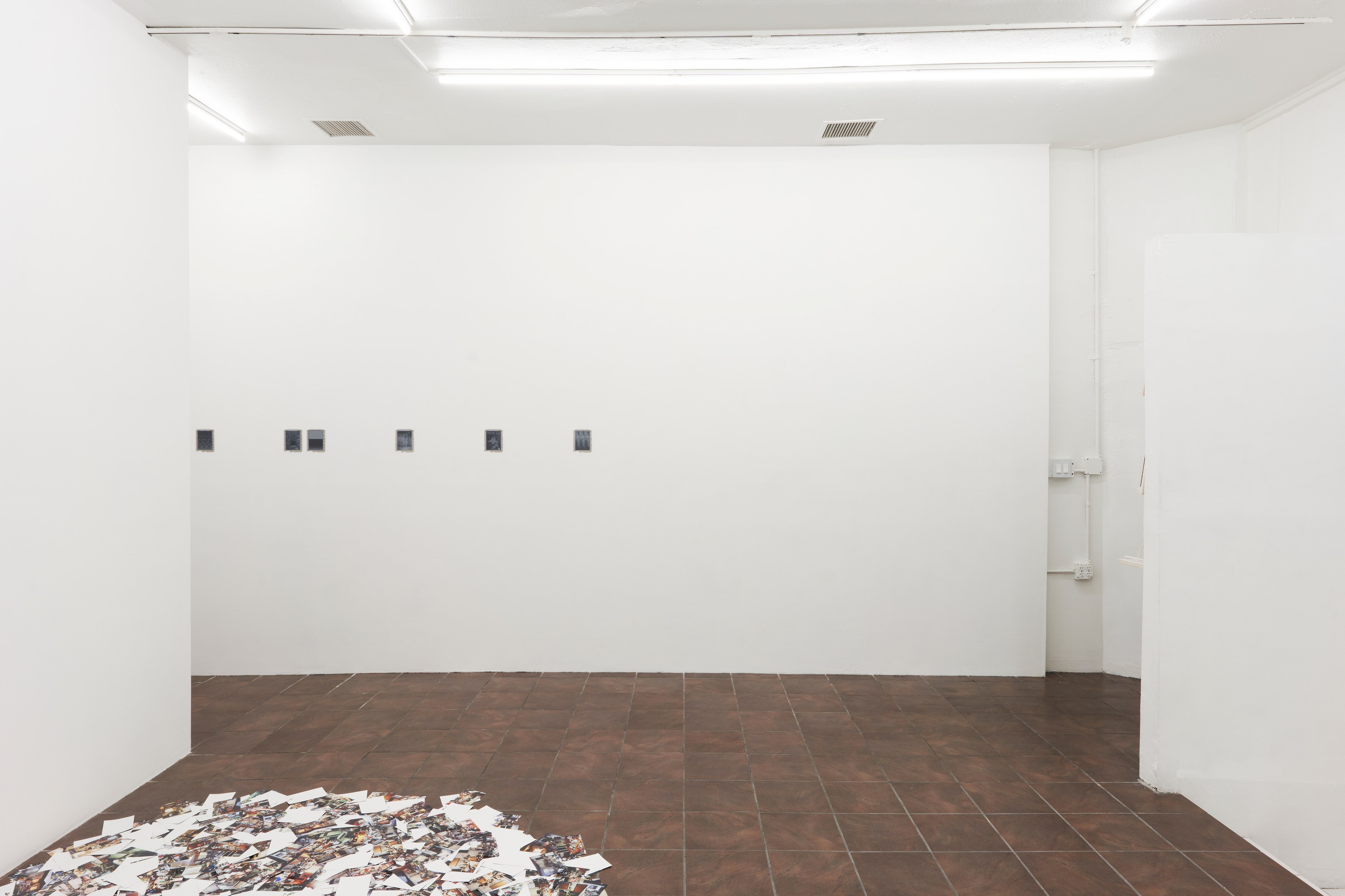 Anthony Discenza, Nancy Holt, Robert Smithson, First Alienation at Timeshare, photo 3