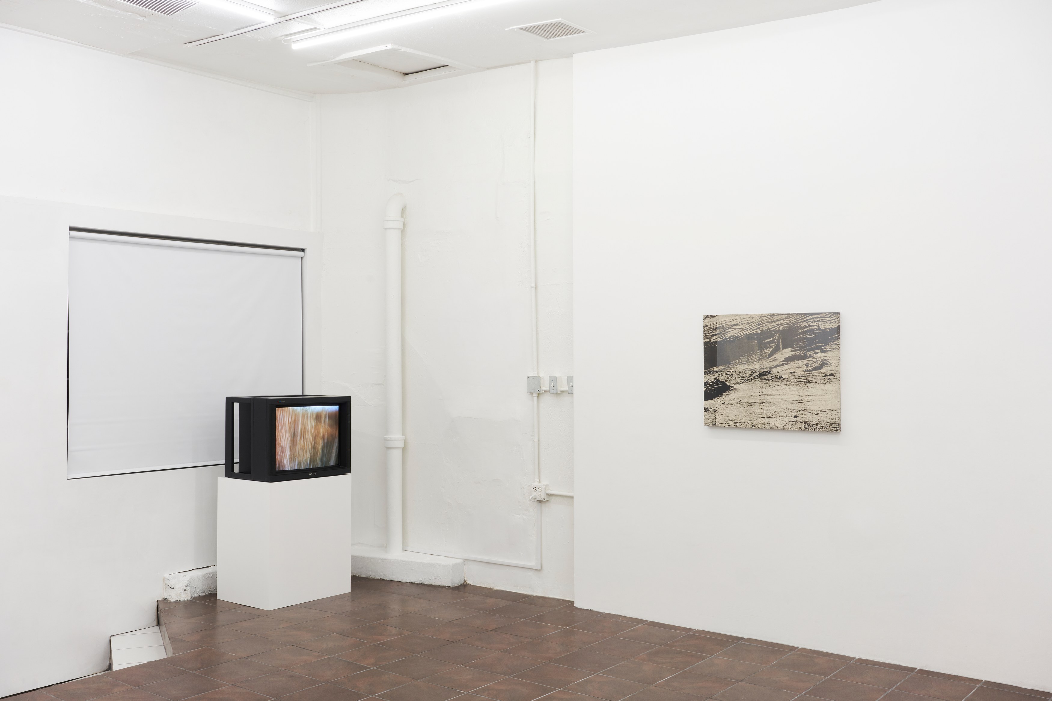 Anthony Discenza, Nancy Holt, Robert Smithson, First Alienation at Timeshare, photo 6